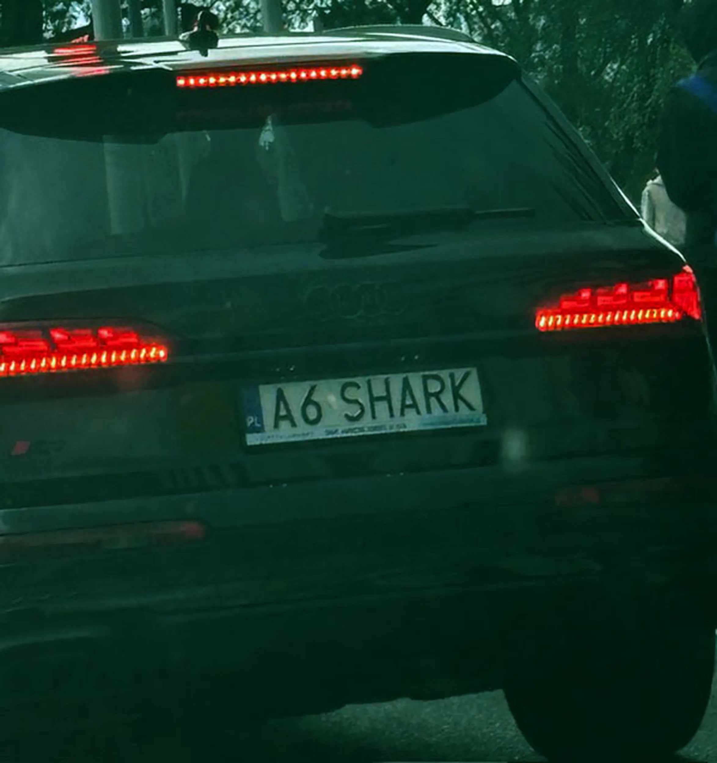 Fajny numer, blacha A6 SHARK