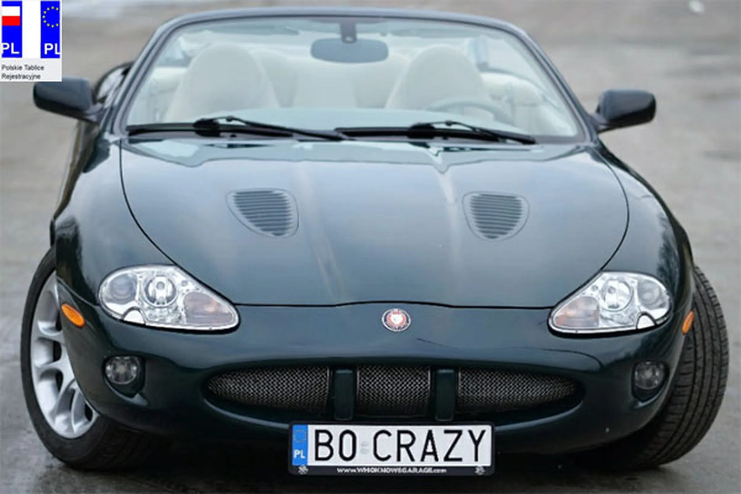 Fajny numer, blacha B0 CRAZY