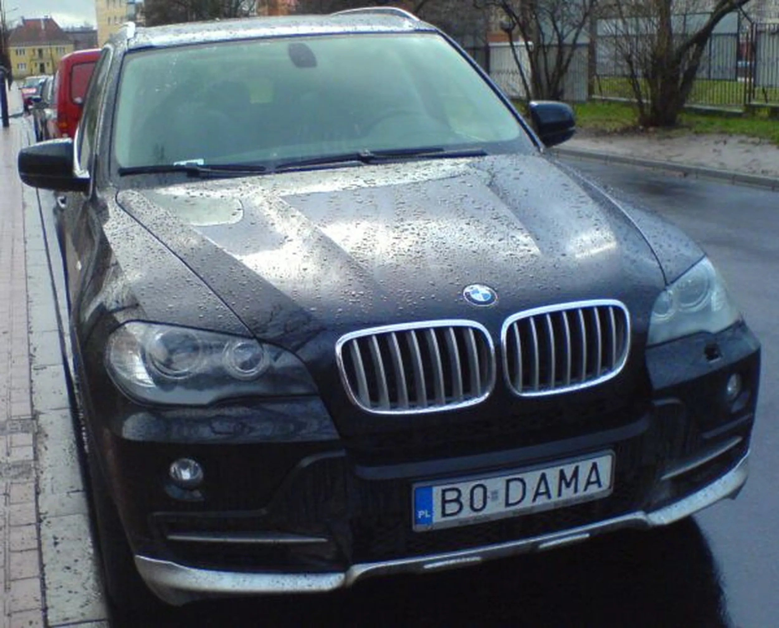 Fajny numer, blacha B0 DAMA