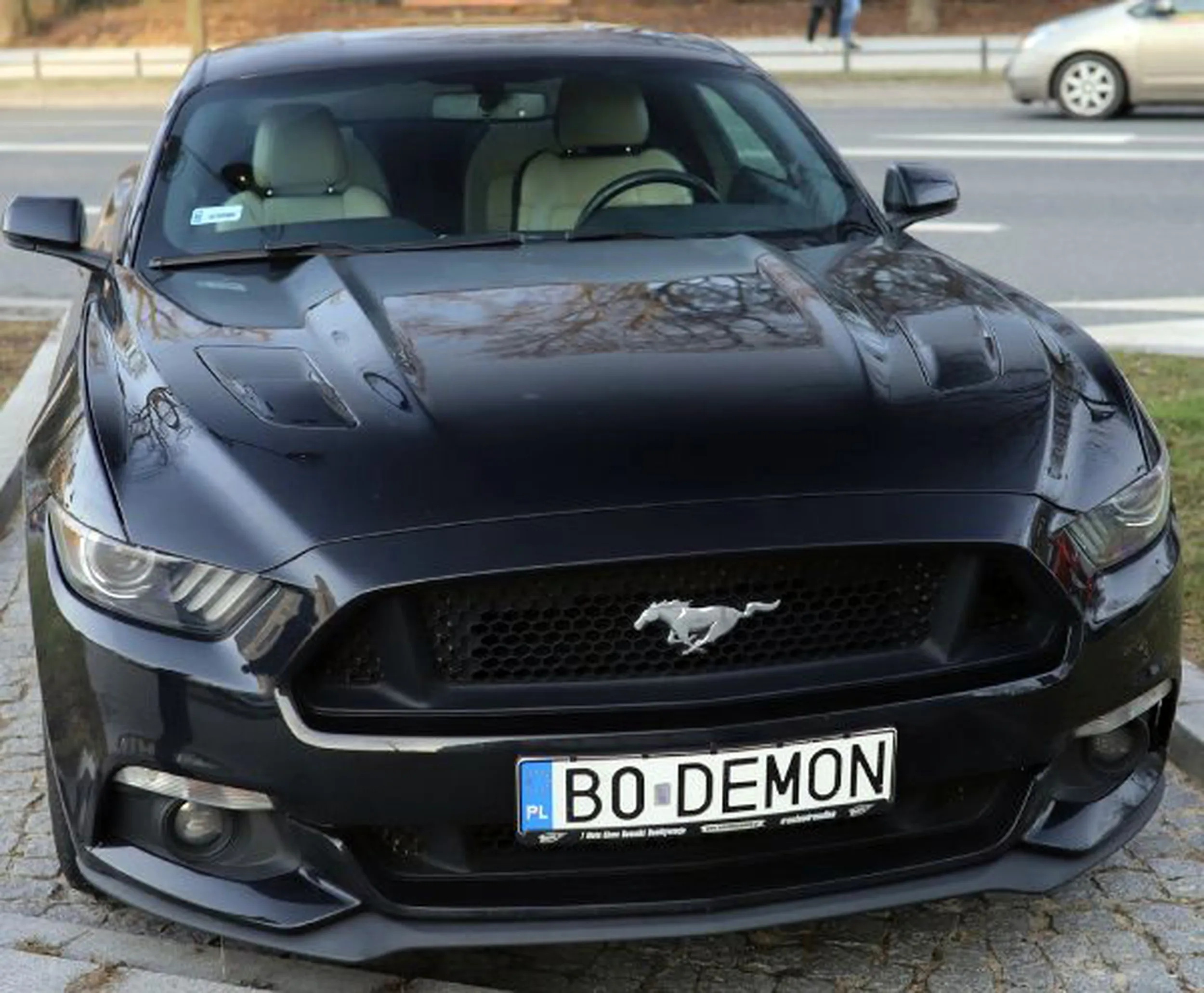 Fajny numer, blacha B0 DEMON