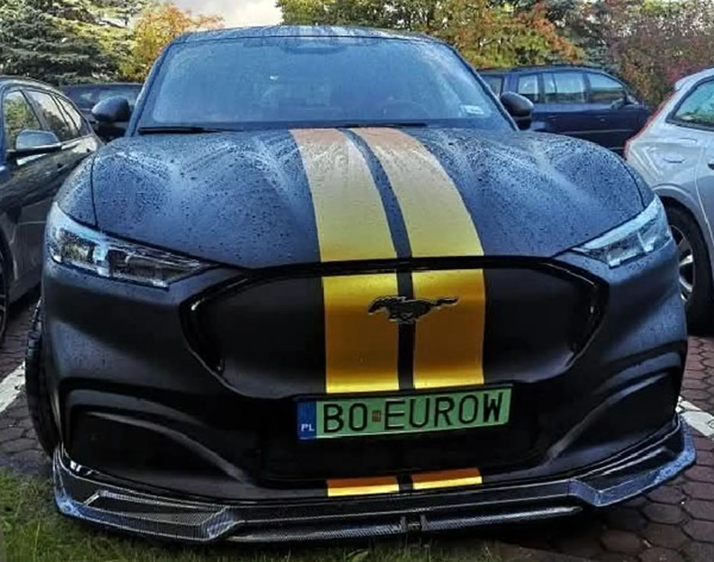 Fajny numer, blacha B0 EUROW