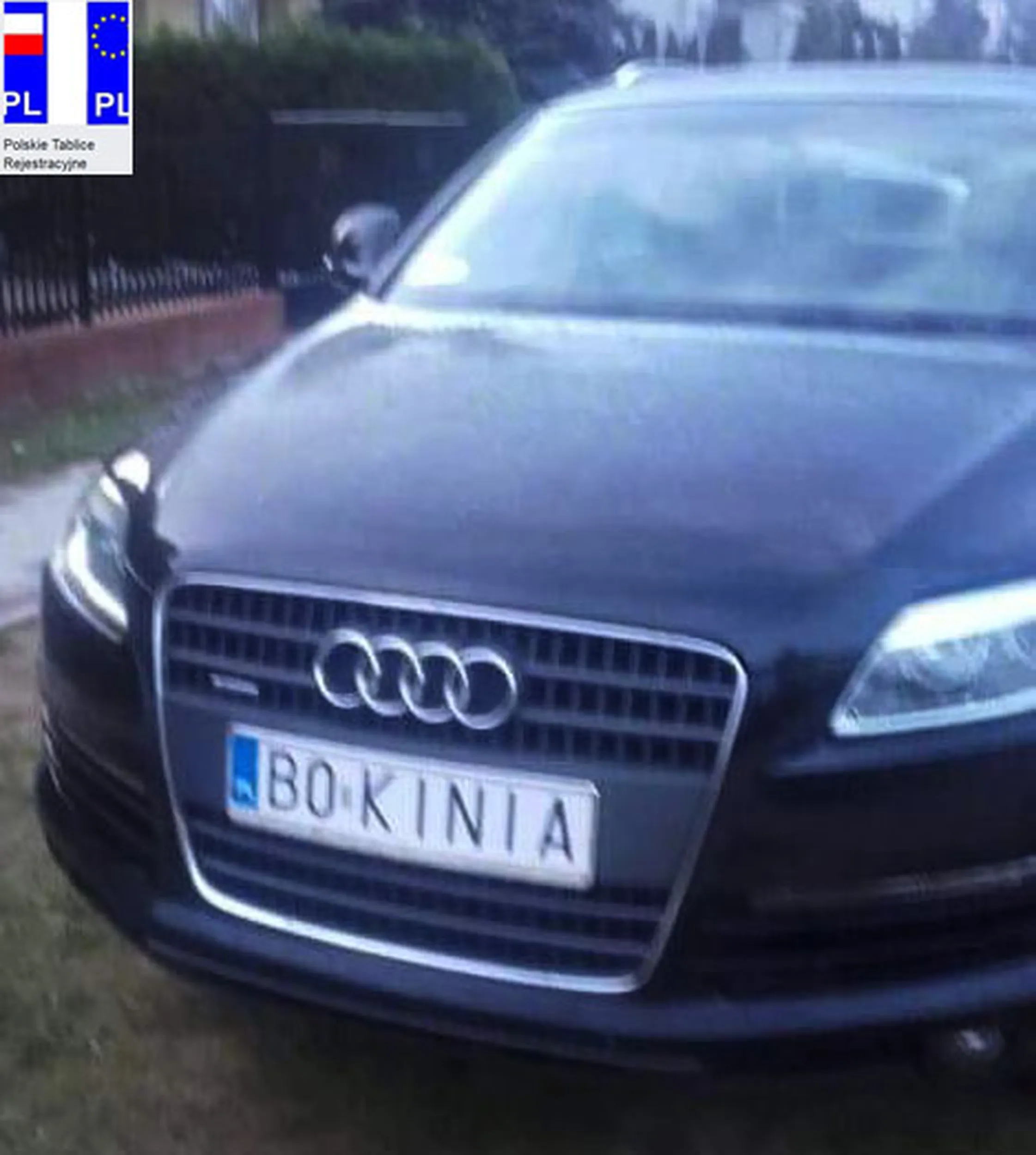 Fajny numer, blacha B0 KINIA