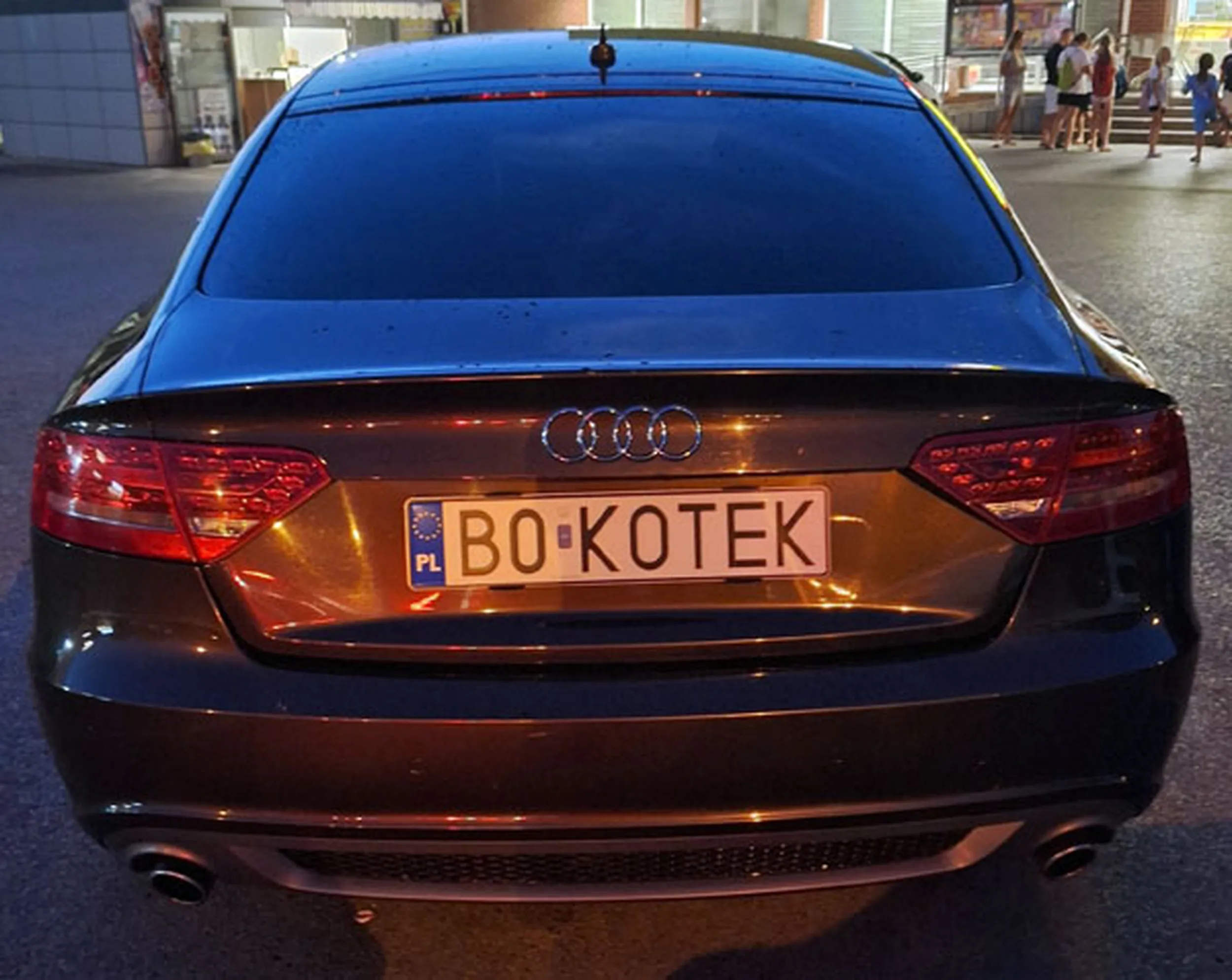 Fajny numer, blacha B0 KOTEK