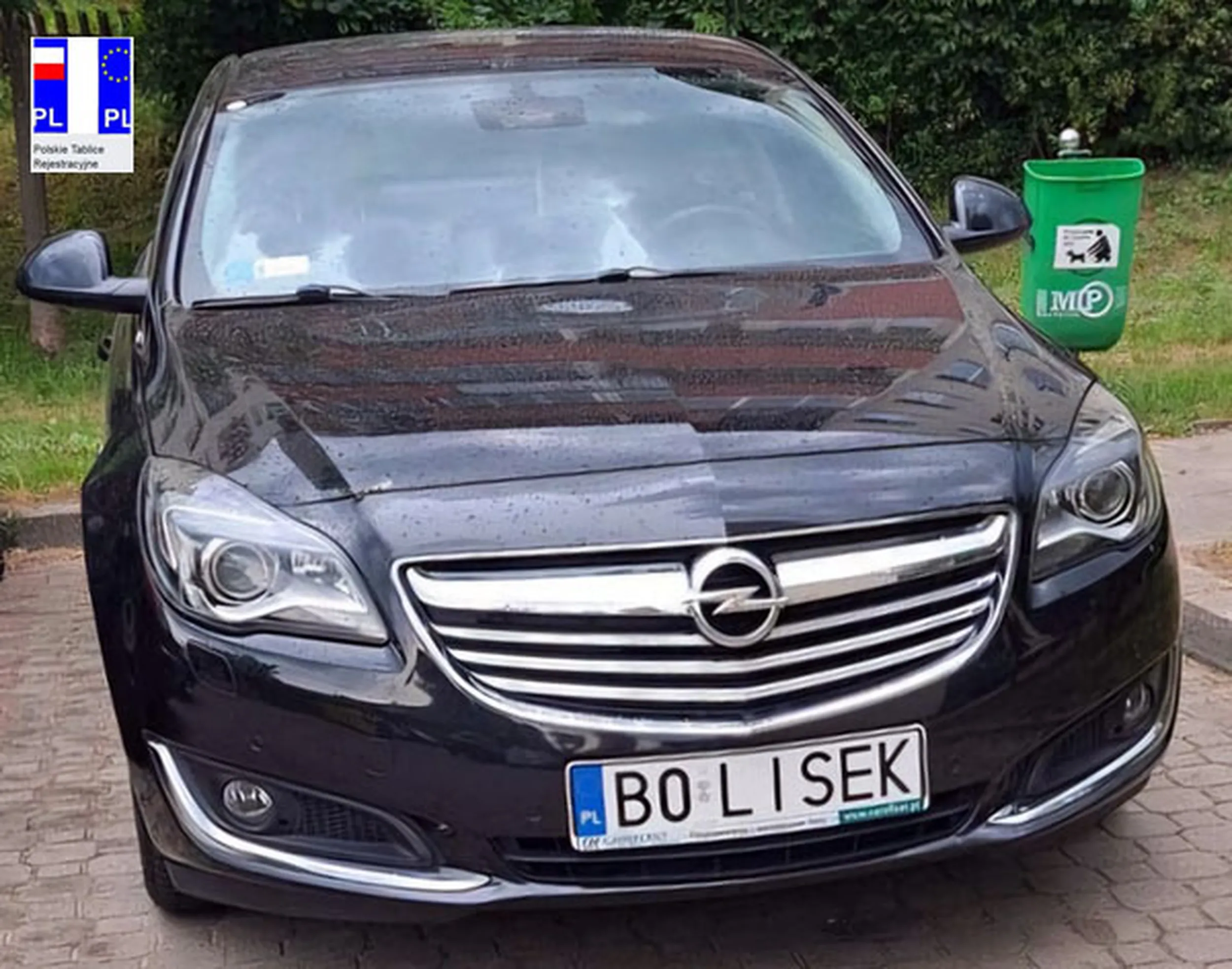 Fajny numer, blacha B0 LISEK