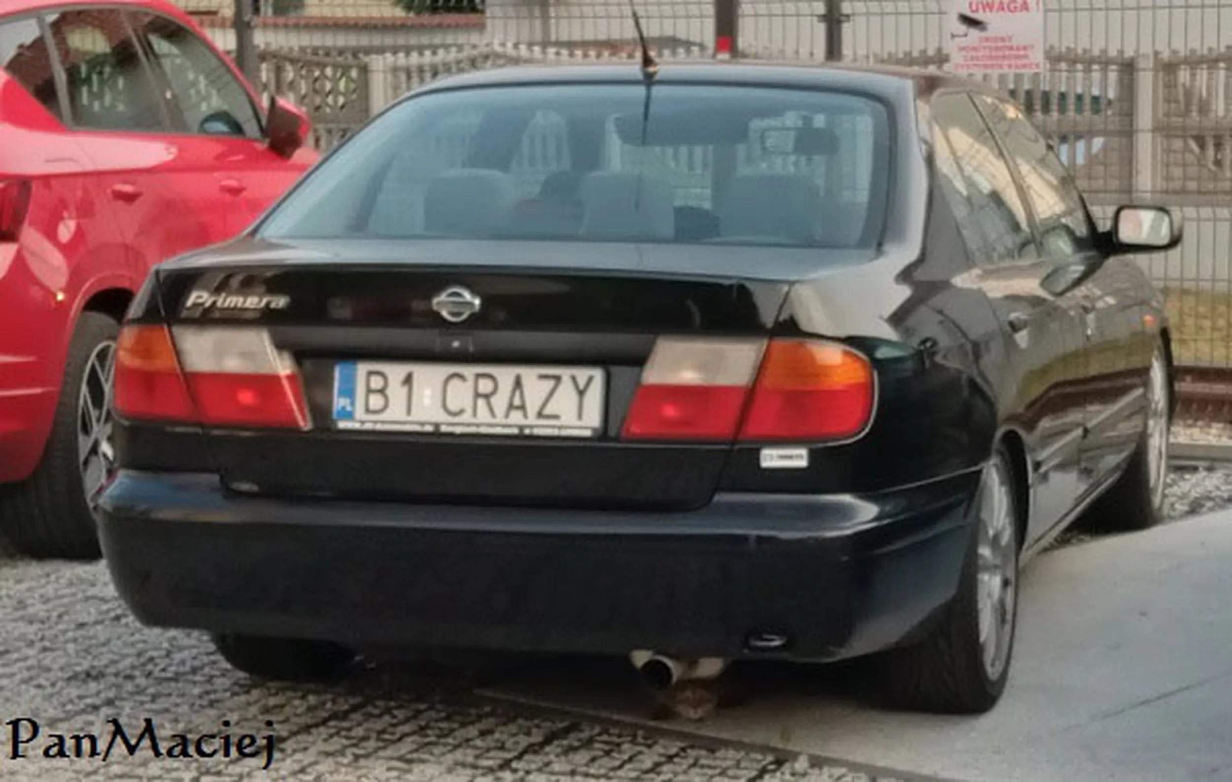 Fajny numer, blacha B1 CRAZY