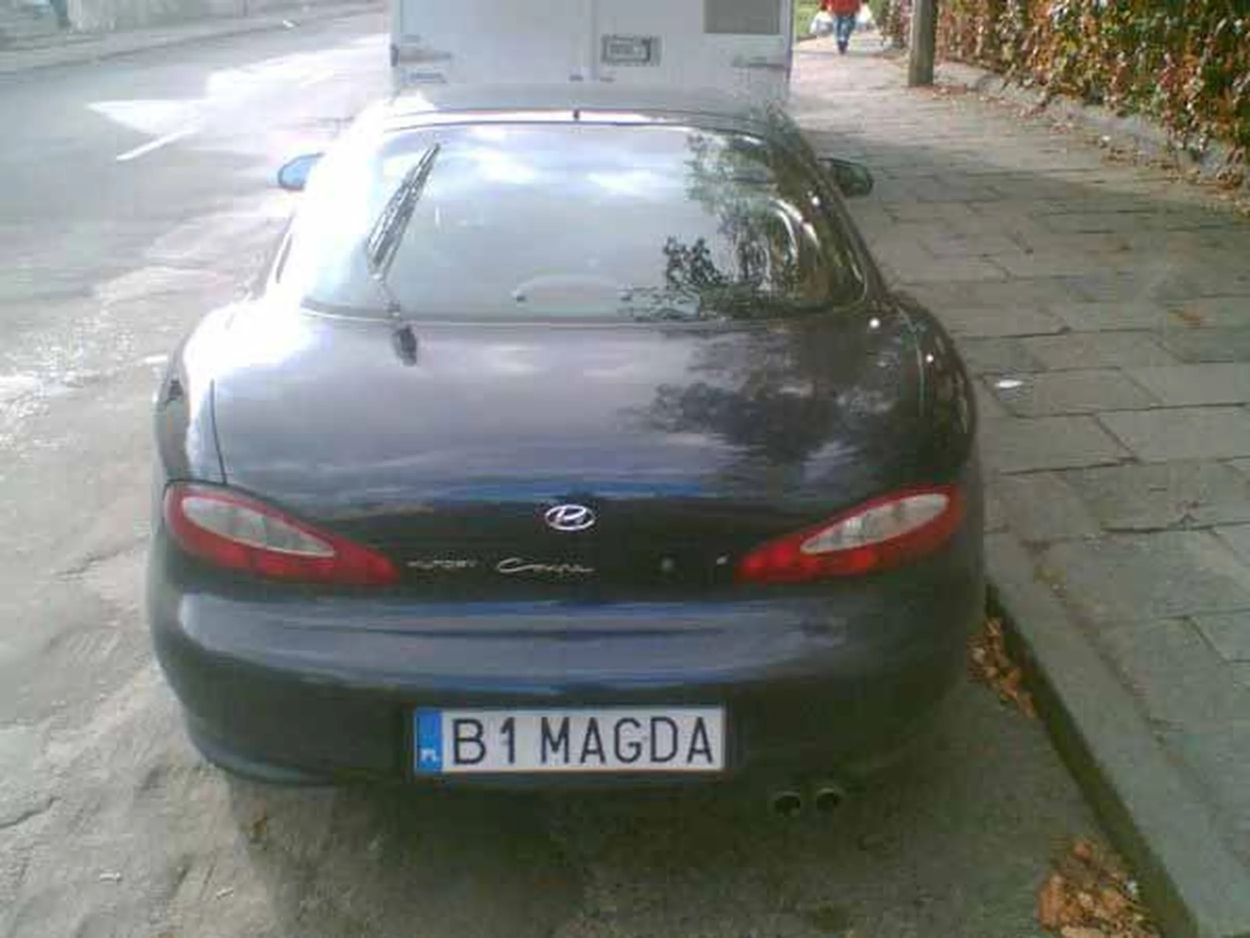 Fajny numer, blacha B1 MAGDA