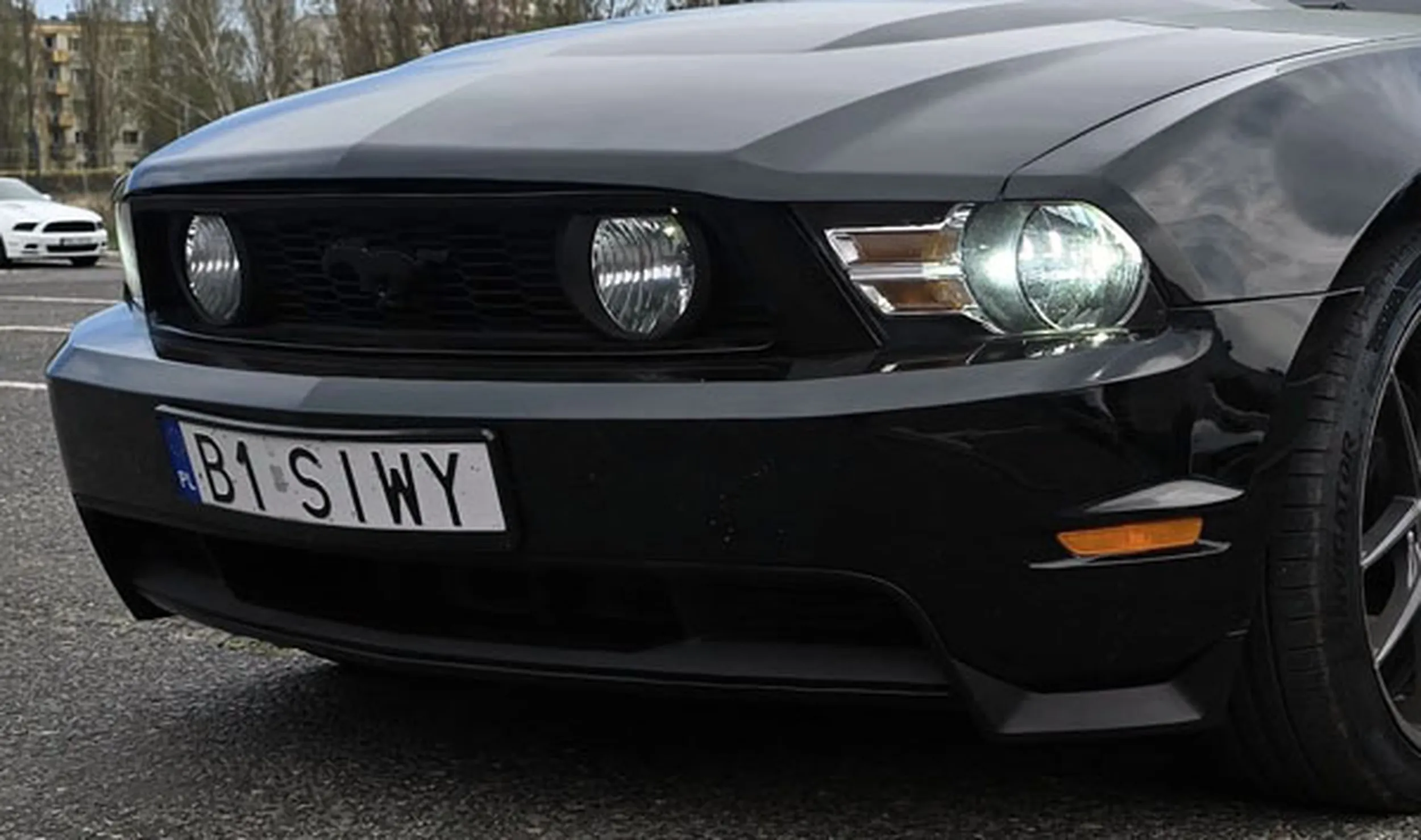 Fajny numer, blacha B1 SIWY