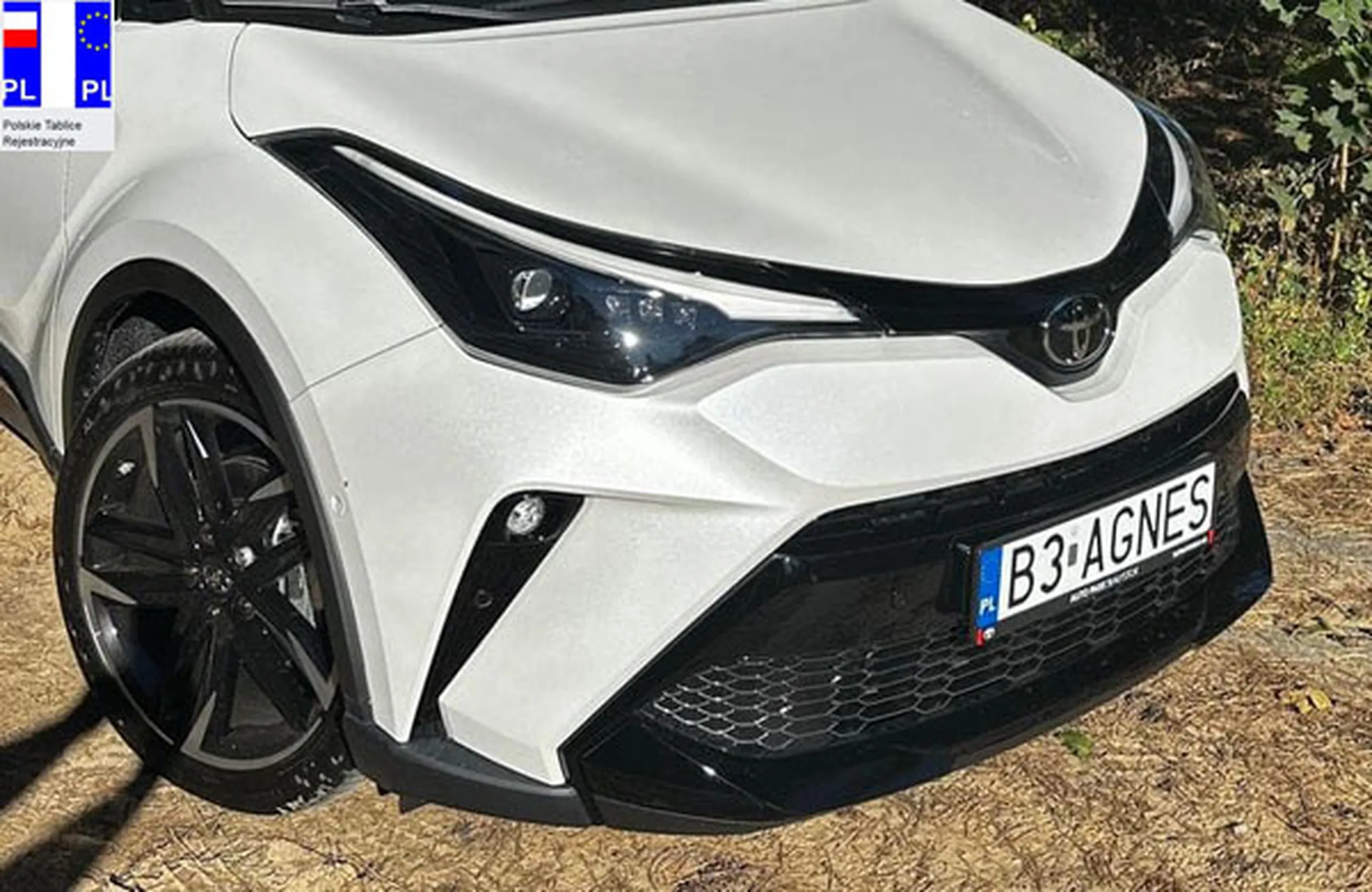 Fajny numer, blacha B3 AGNES