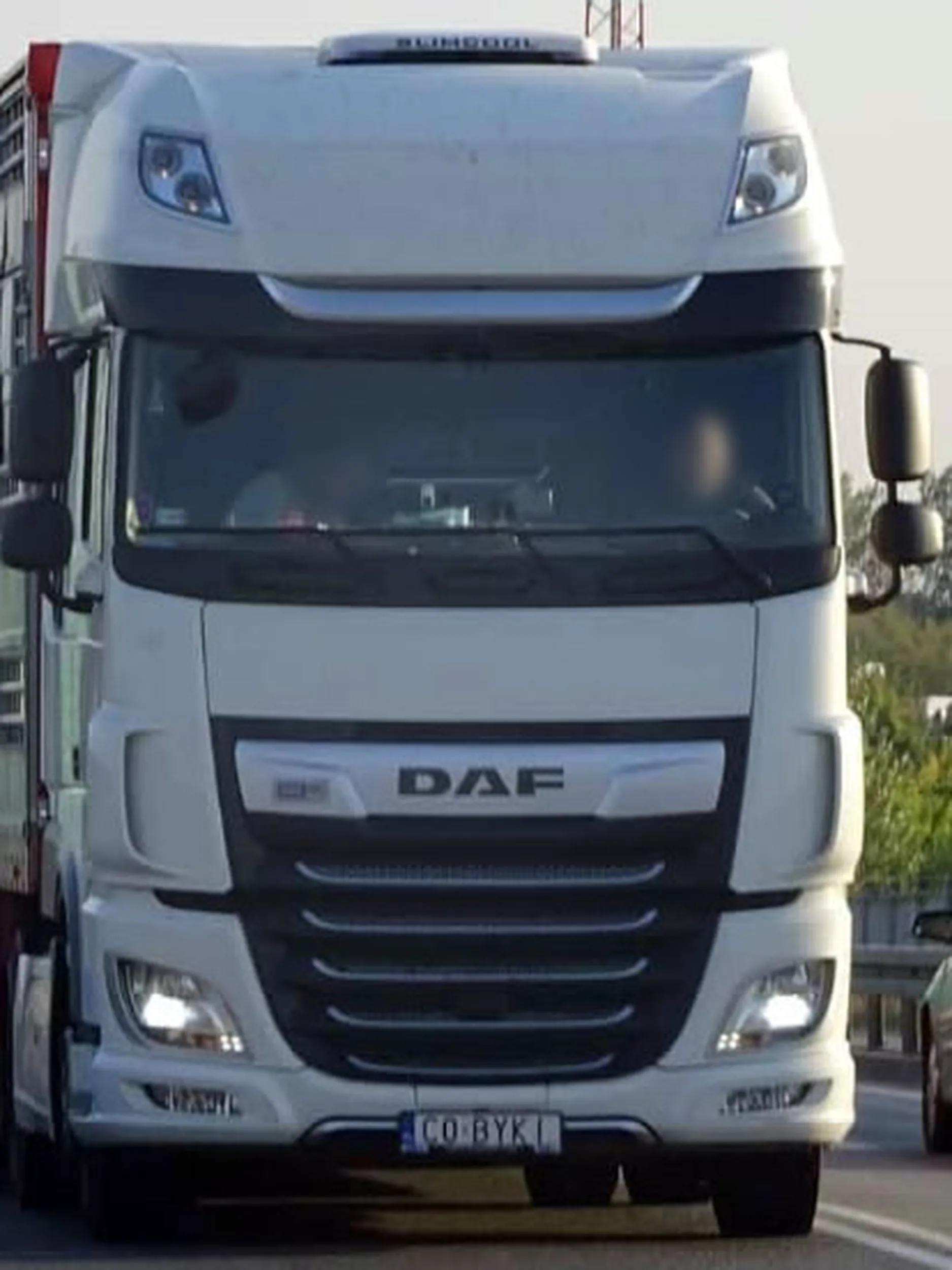 Fajny numer, blacha C0 BYKI