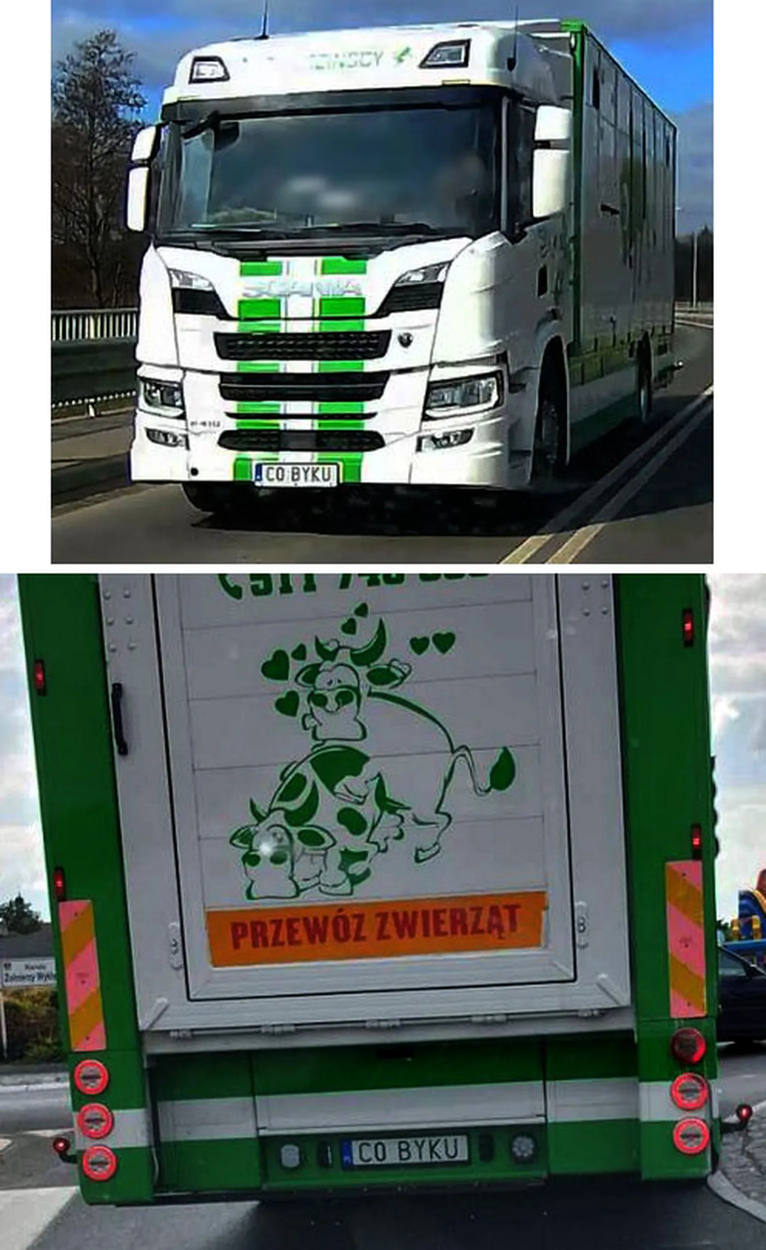 Fajny numer, blacha C0 BYKU