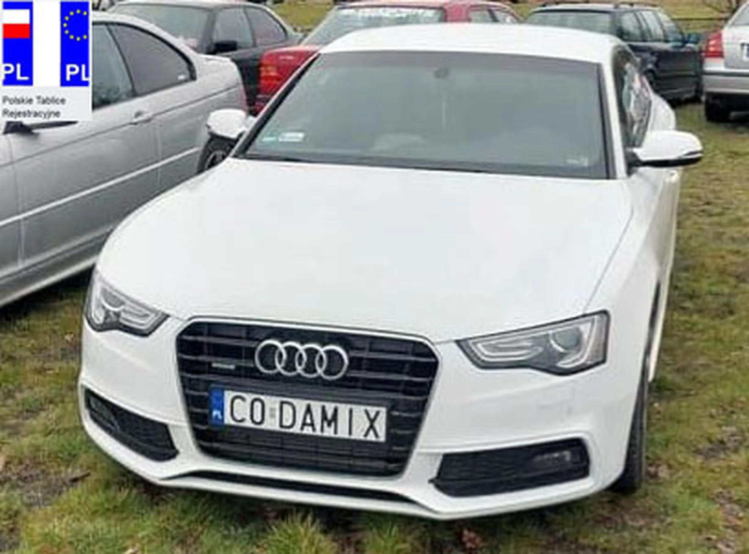 Fajny numer, blacha C0 DAMIX