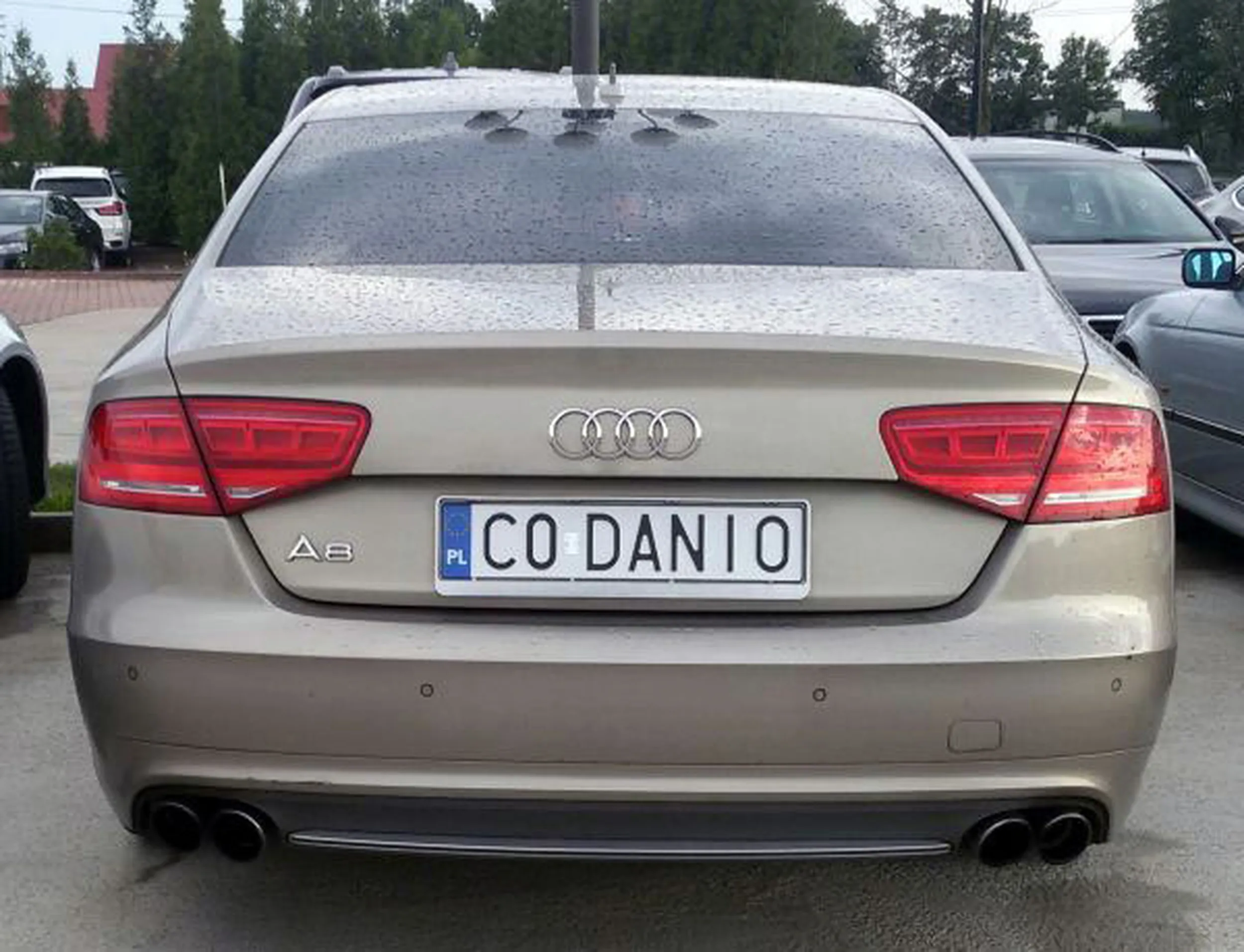 Fajny numer, blacha C0 DANIO
