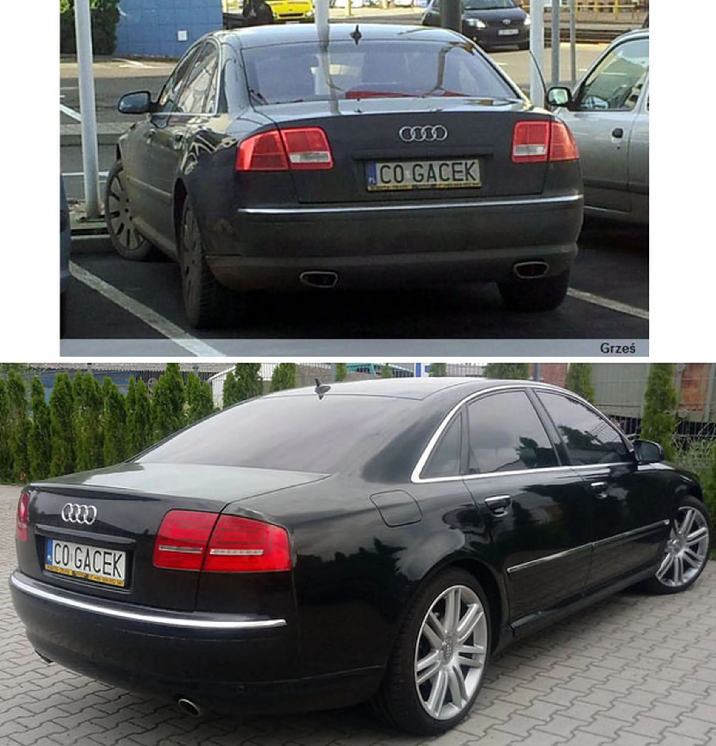 Fajny numer, blacha C0 GACEK