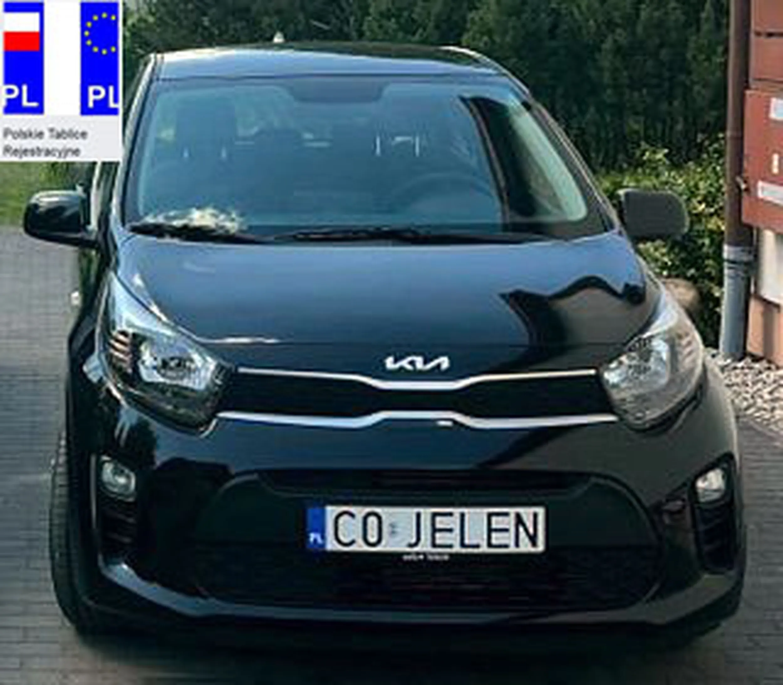 Fajny numer, blacha C0 JELEN