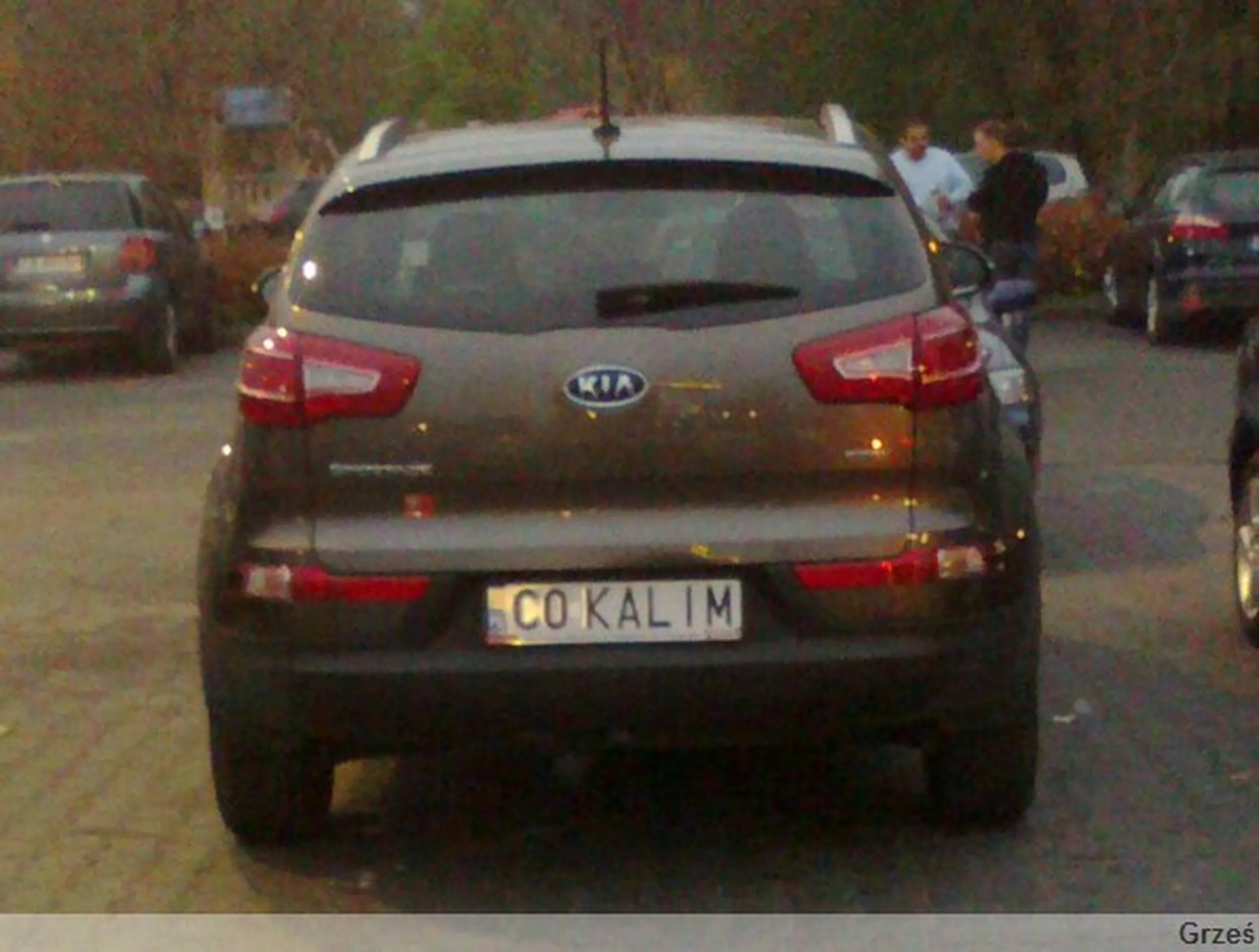 Fajny numer, blacha C0 KALIM