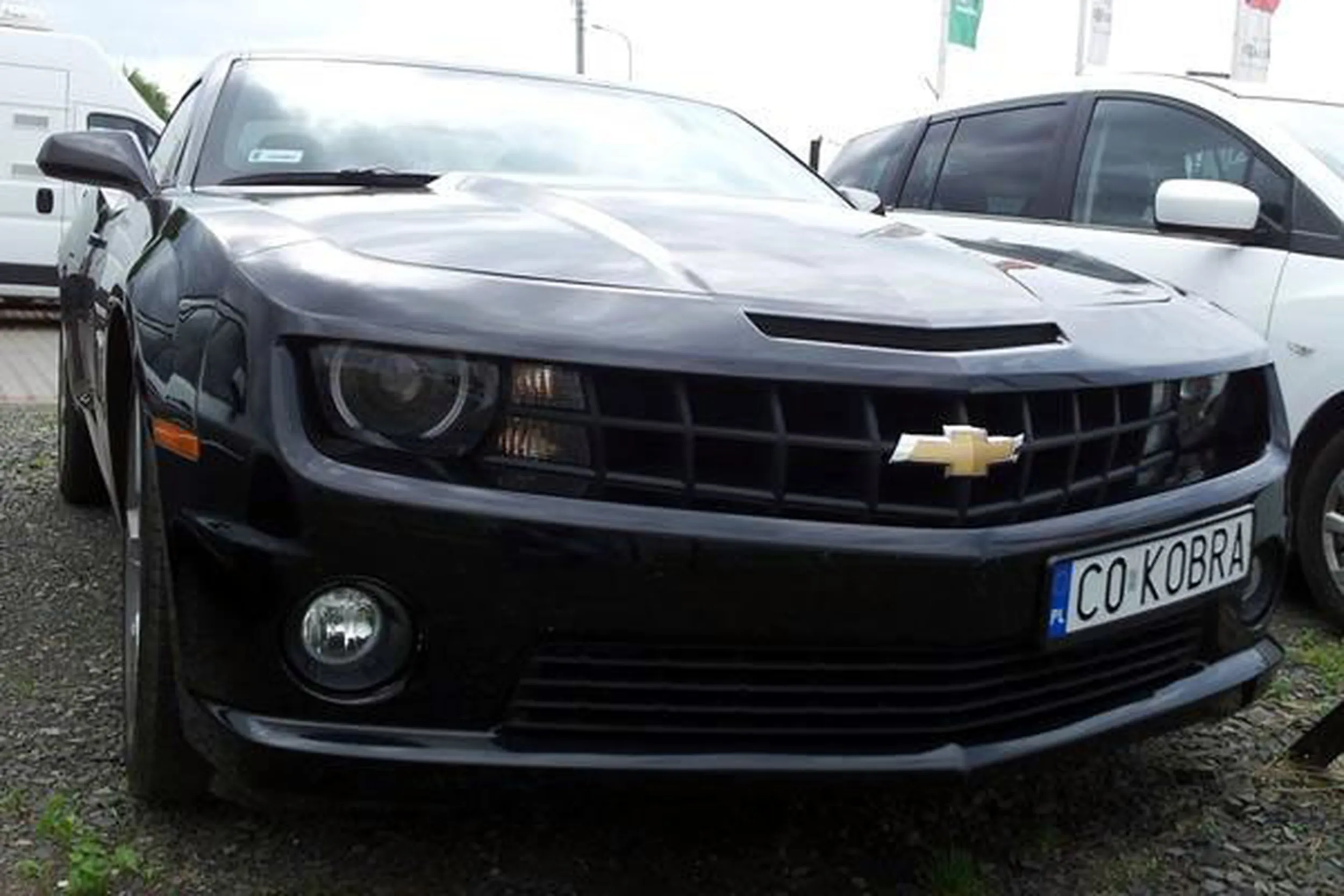 Fajny numer, blacha C0 KOBRA