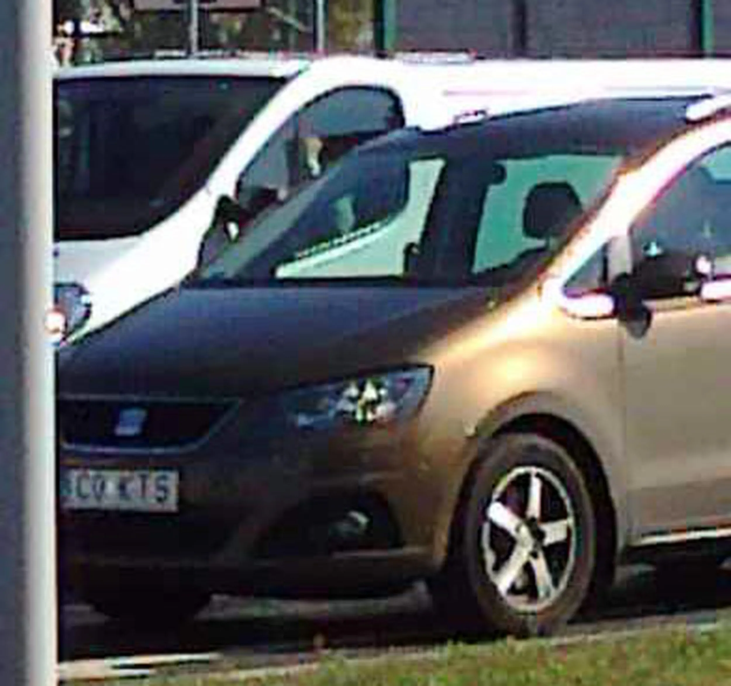 Fajny numer, blacha C0 KTS