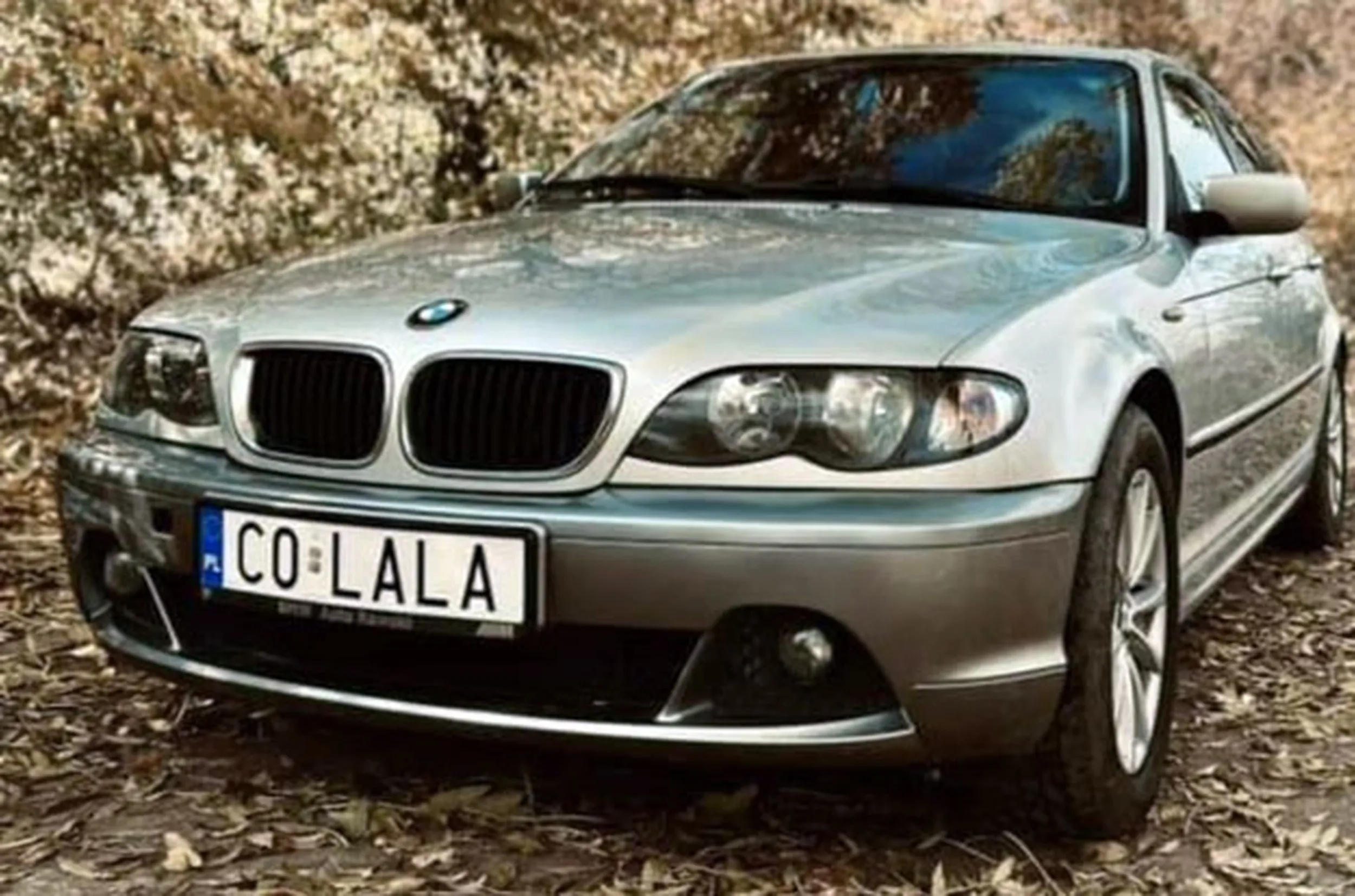 Fajny numer, blacha C0 LALA