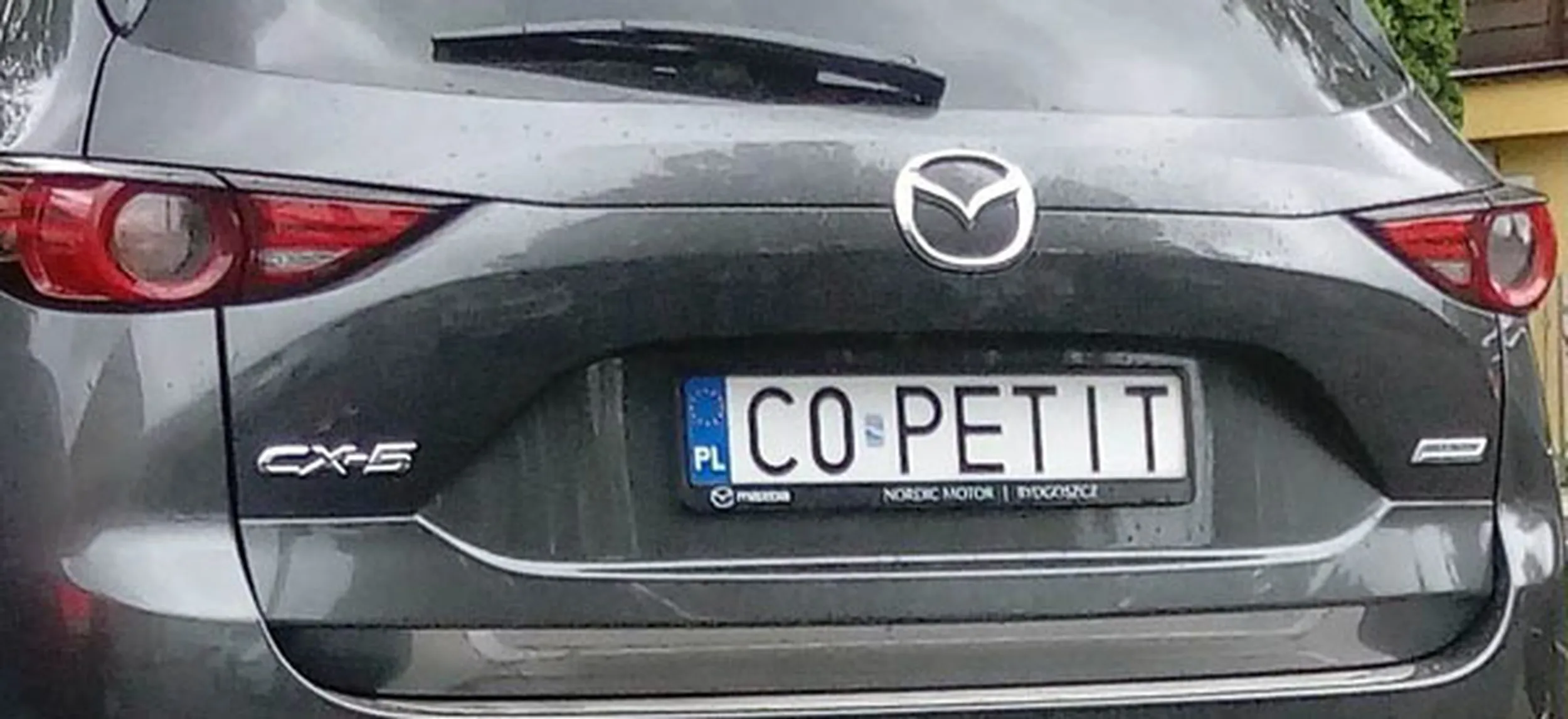 Fajny numer, blacha C0 PETIT