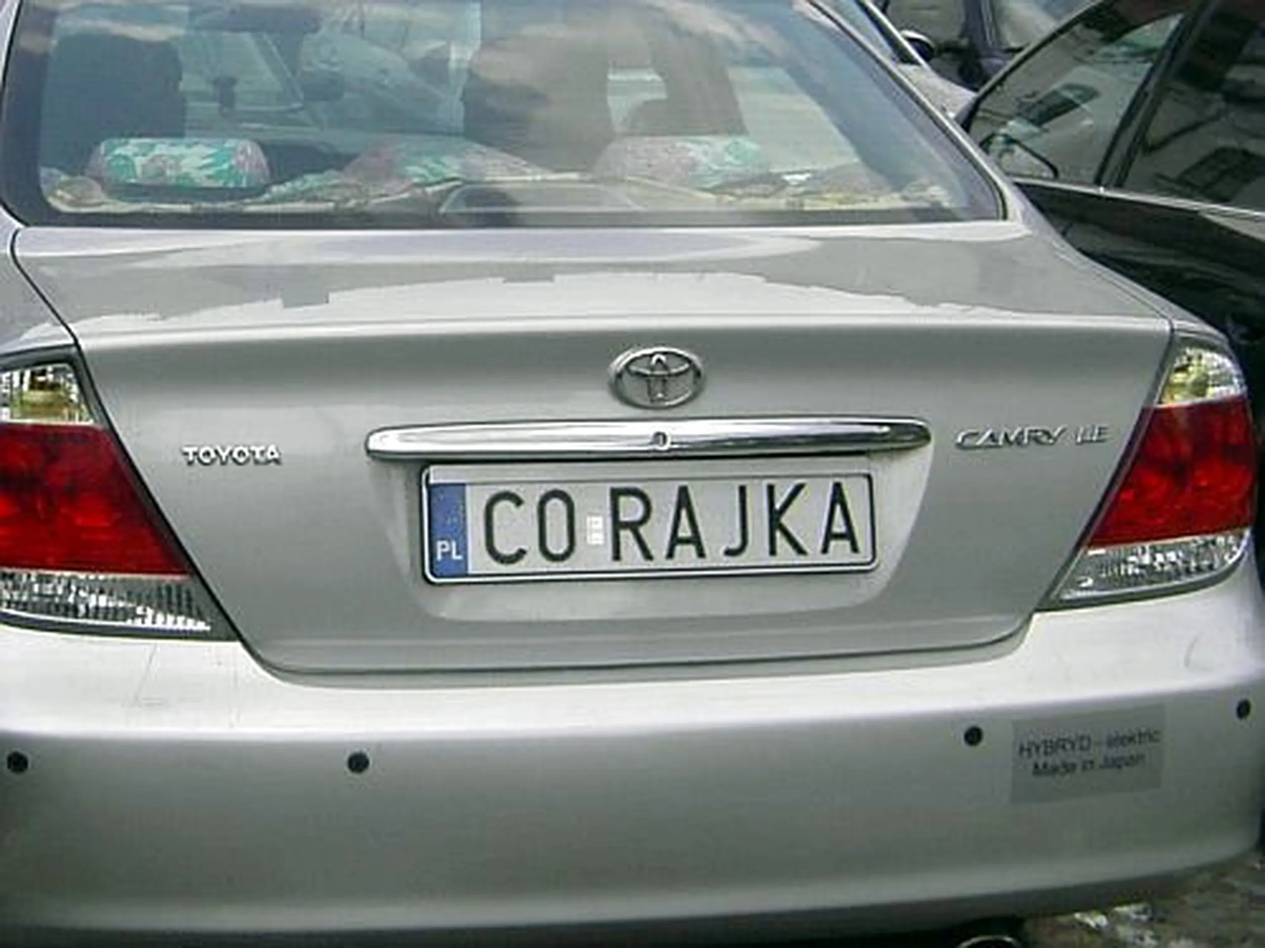 Fajny numer, blacha C0 RAJKA