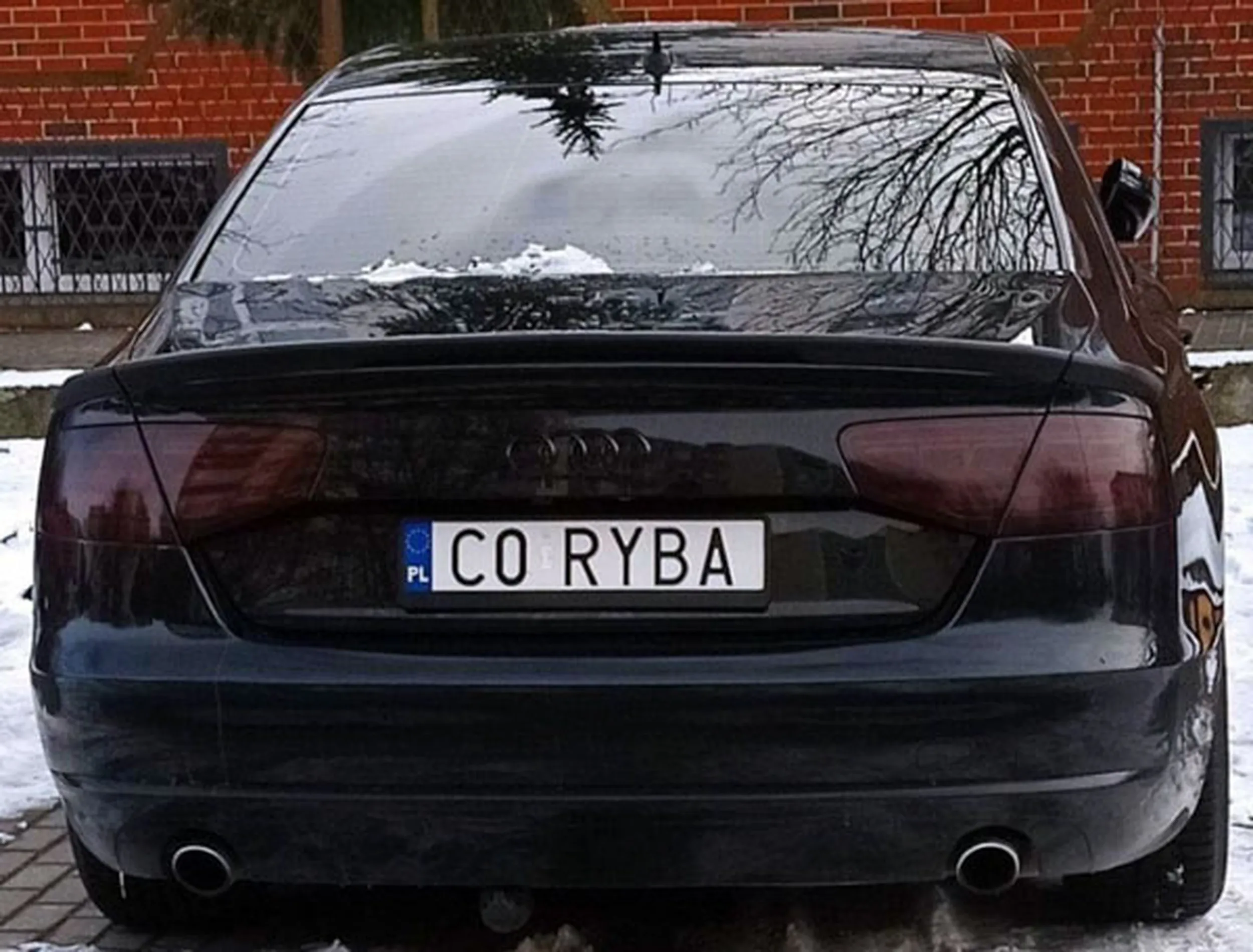 Fajny numer, blacha C0 RYBA