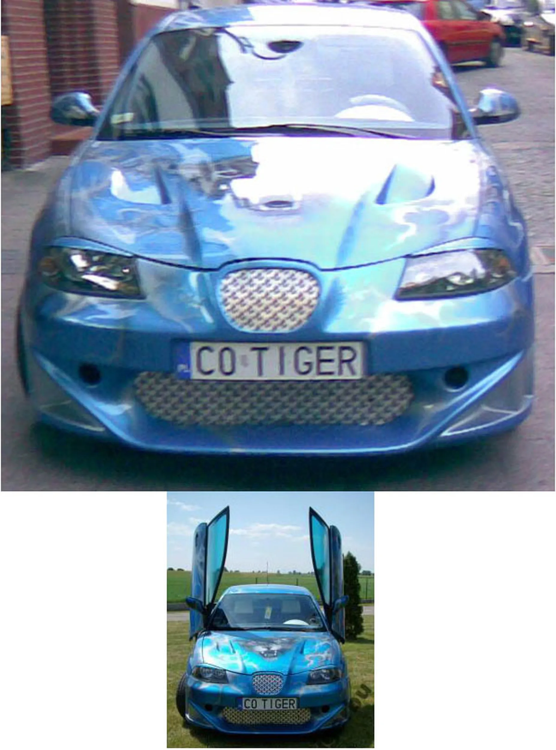 Fajny numer, blacha C0 TIGER