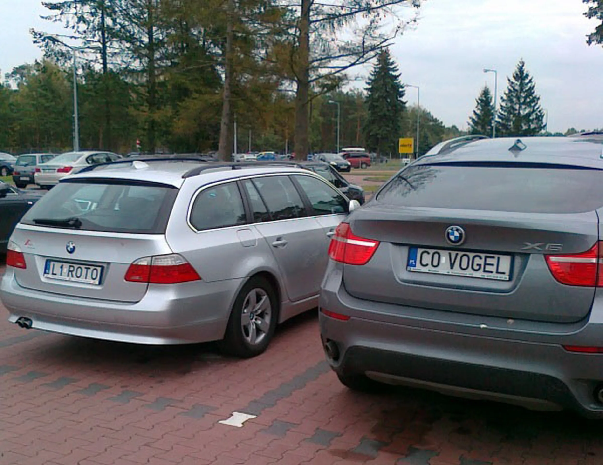 Fajny numer, blacha C0 VOGEL