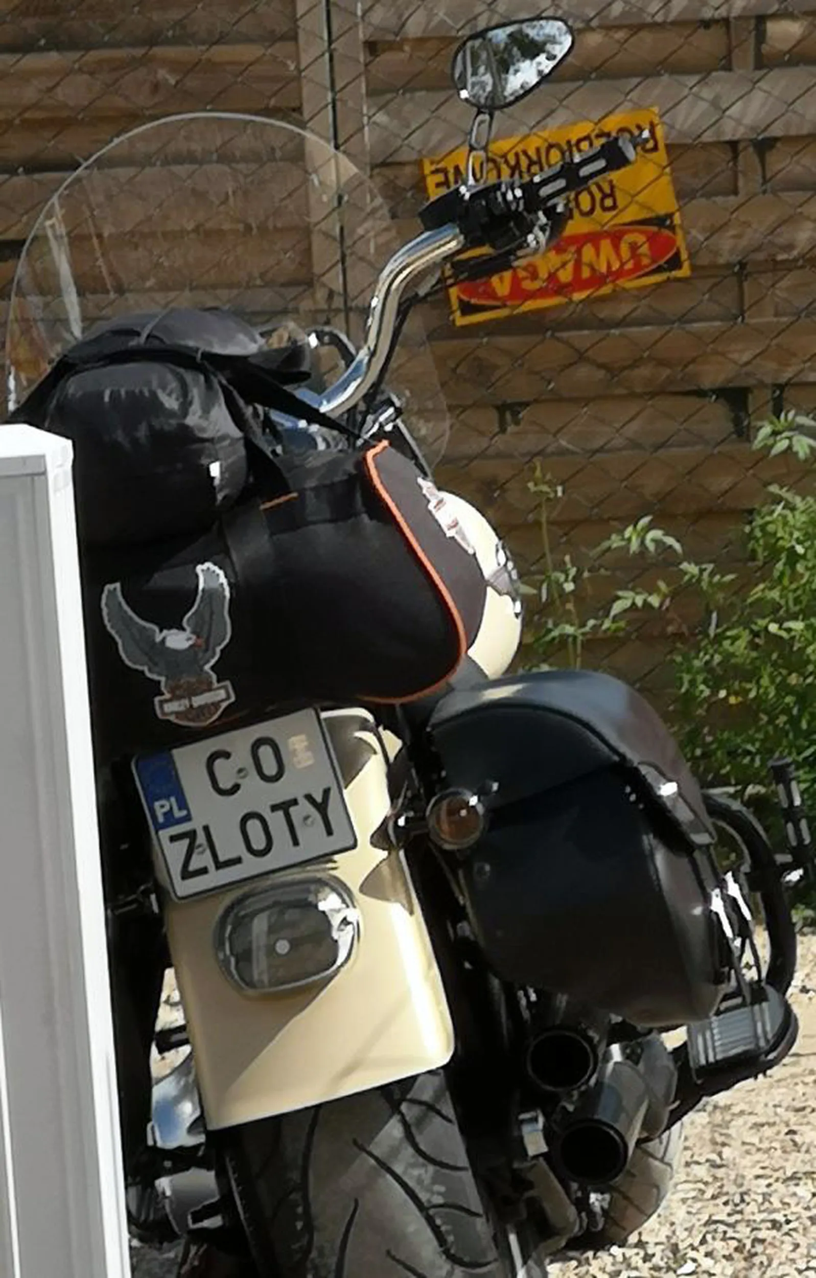 Fajny numer, blacha C0 ZLOTY