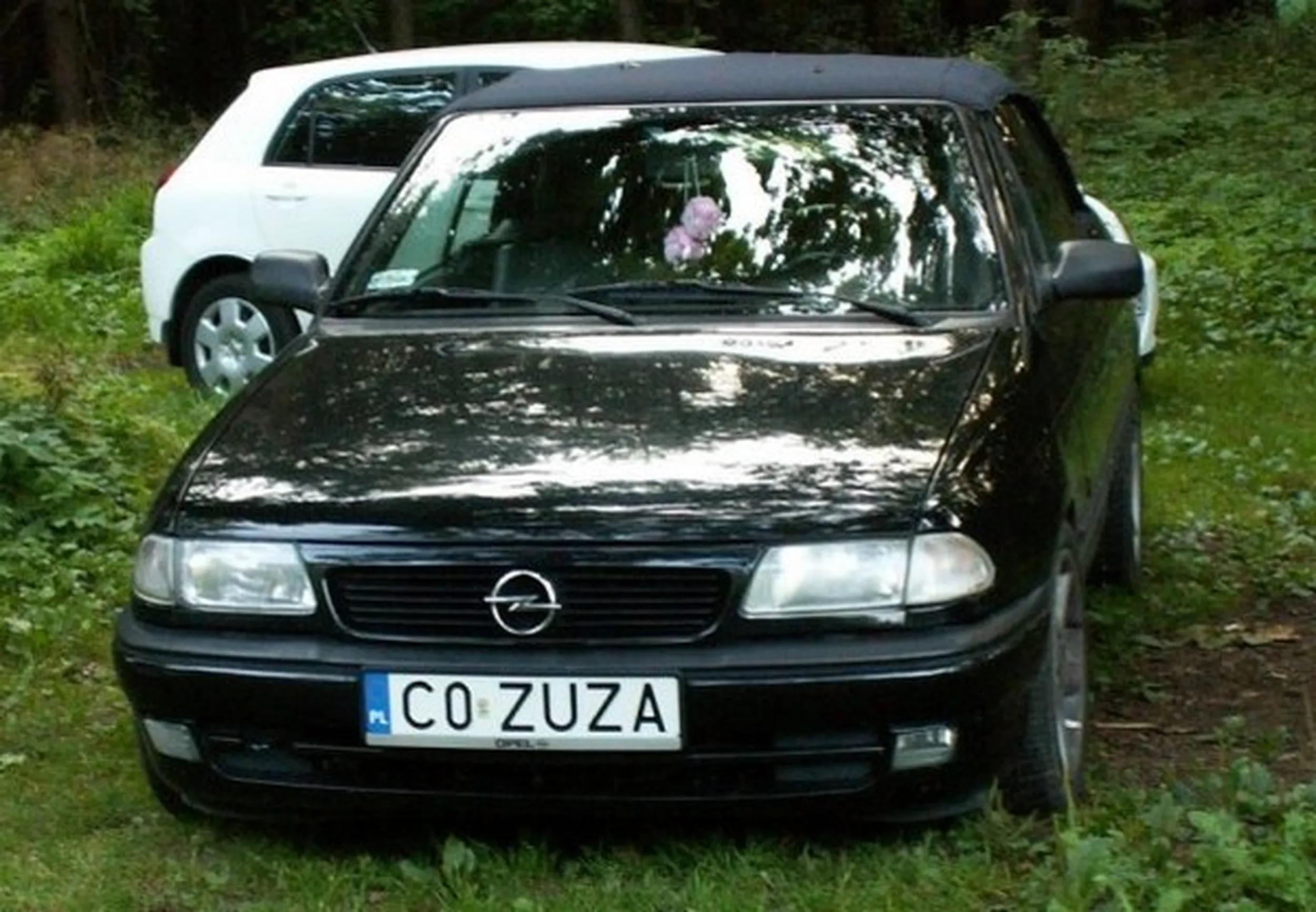 Fajny numer, blacha C0 ZUZA