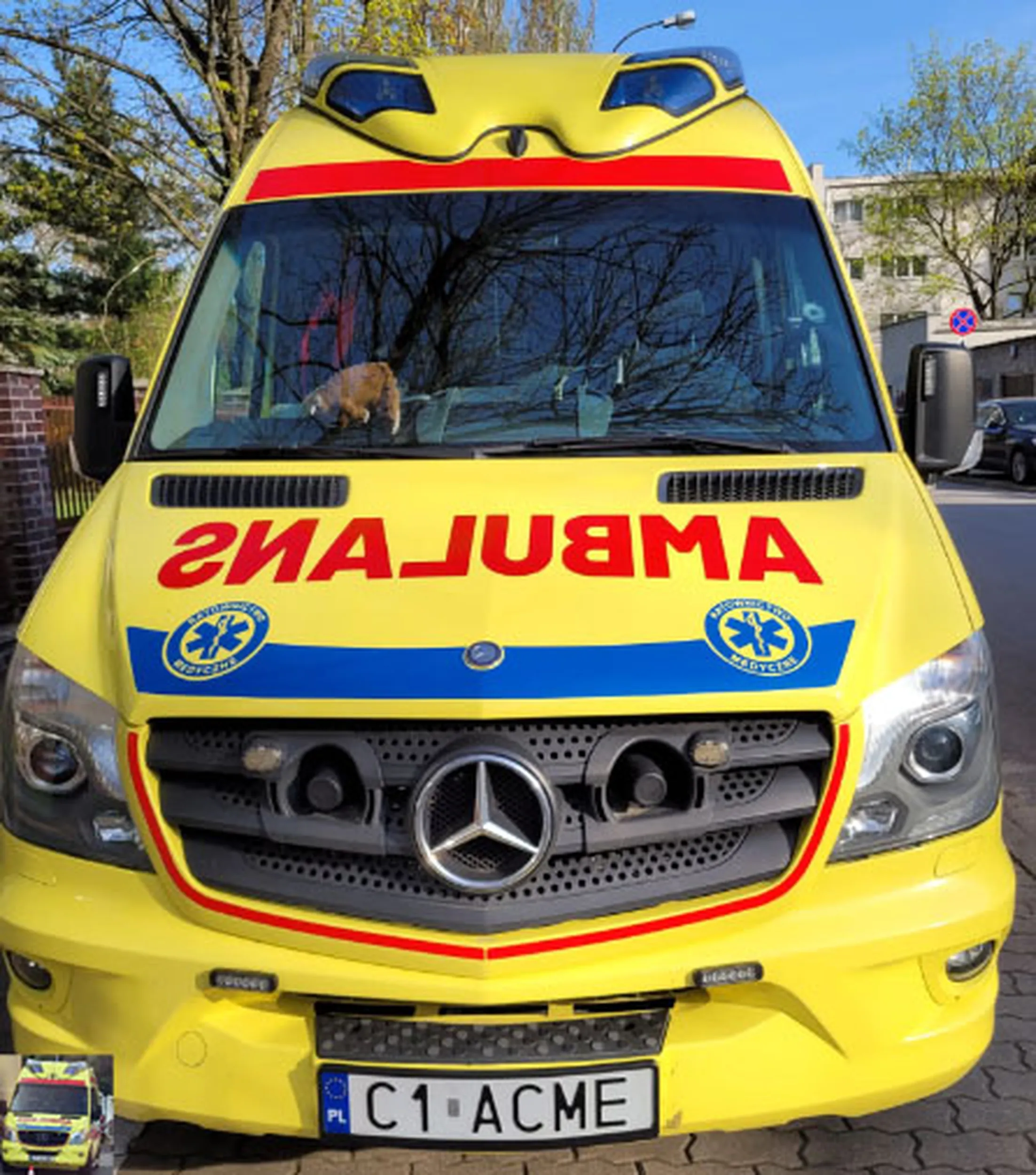 Fajny numer, blacha C1 ACME