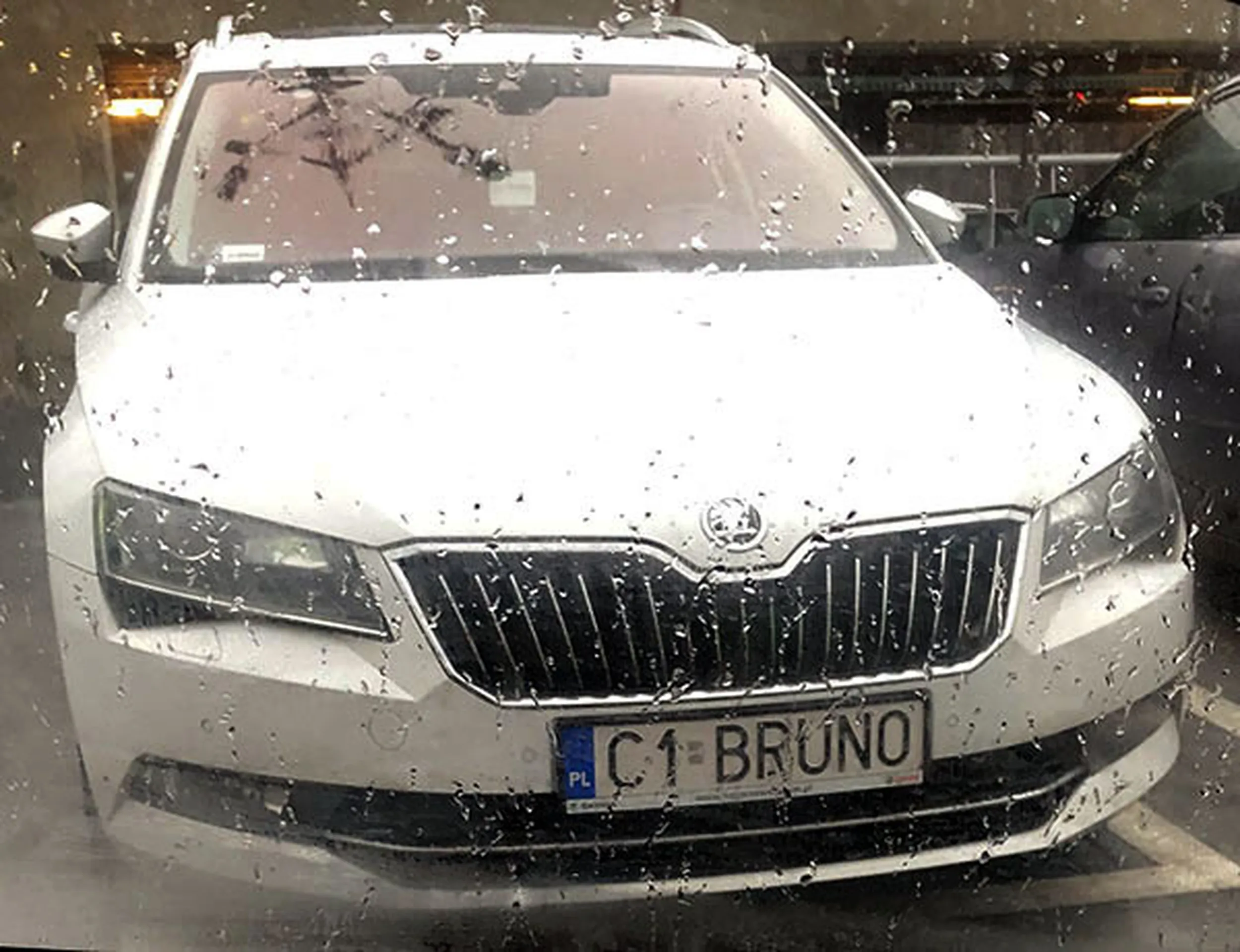 Fajny numer, blacha C1 BRUNO