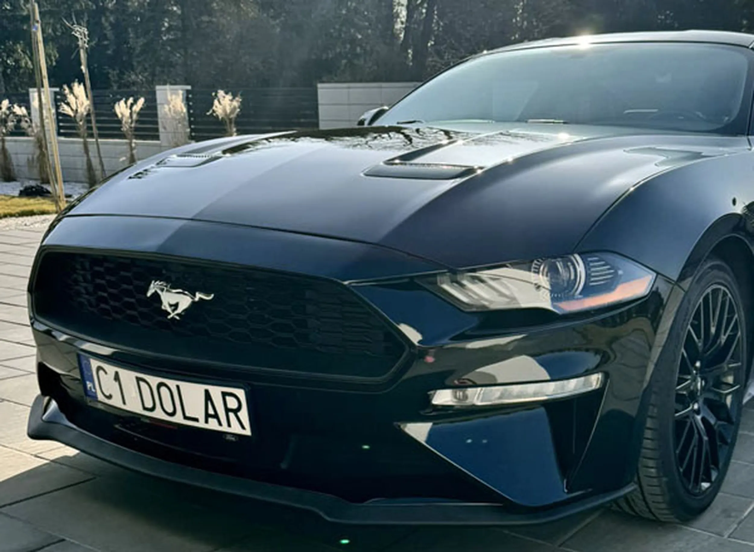 Fajny numer, blacha C1 DOLAR