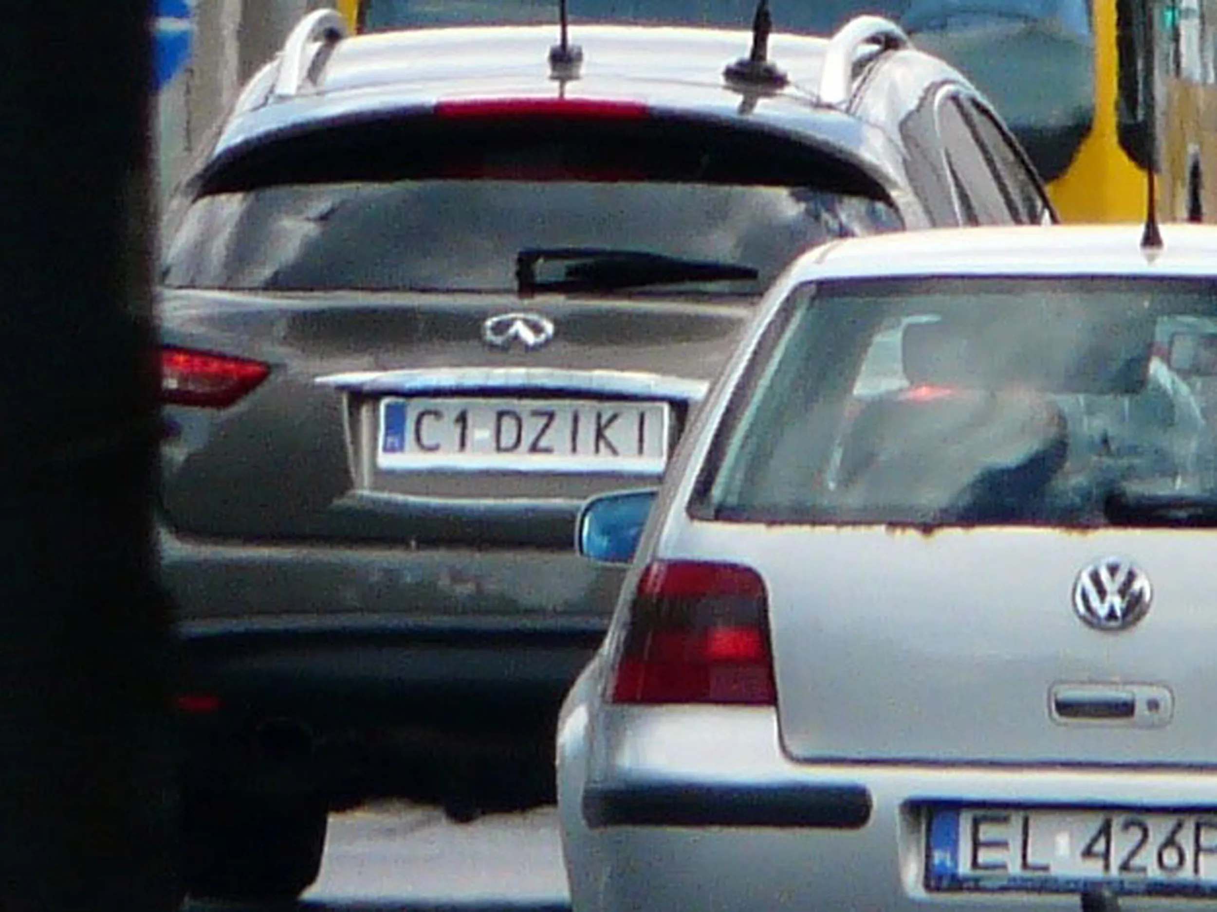 Fajny numer, blacha C1 DZIKI