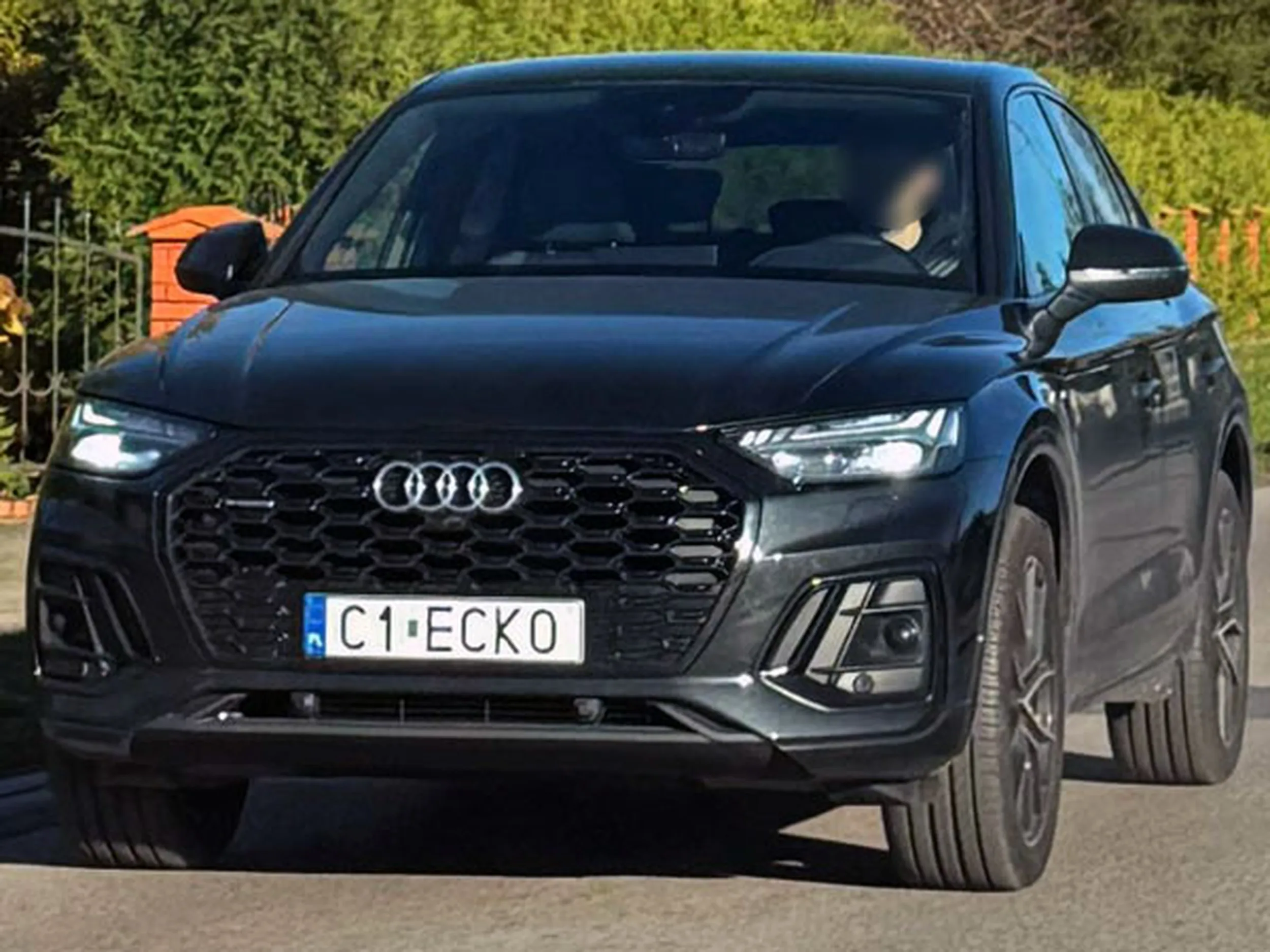 Fajny numer, blacha C1 ECKO