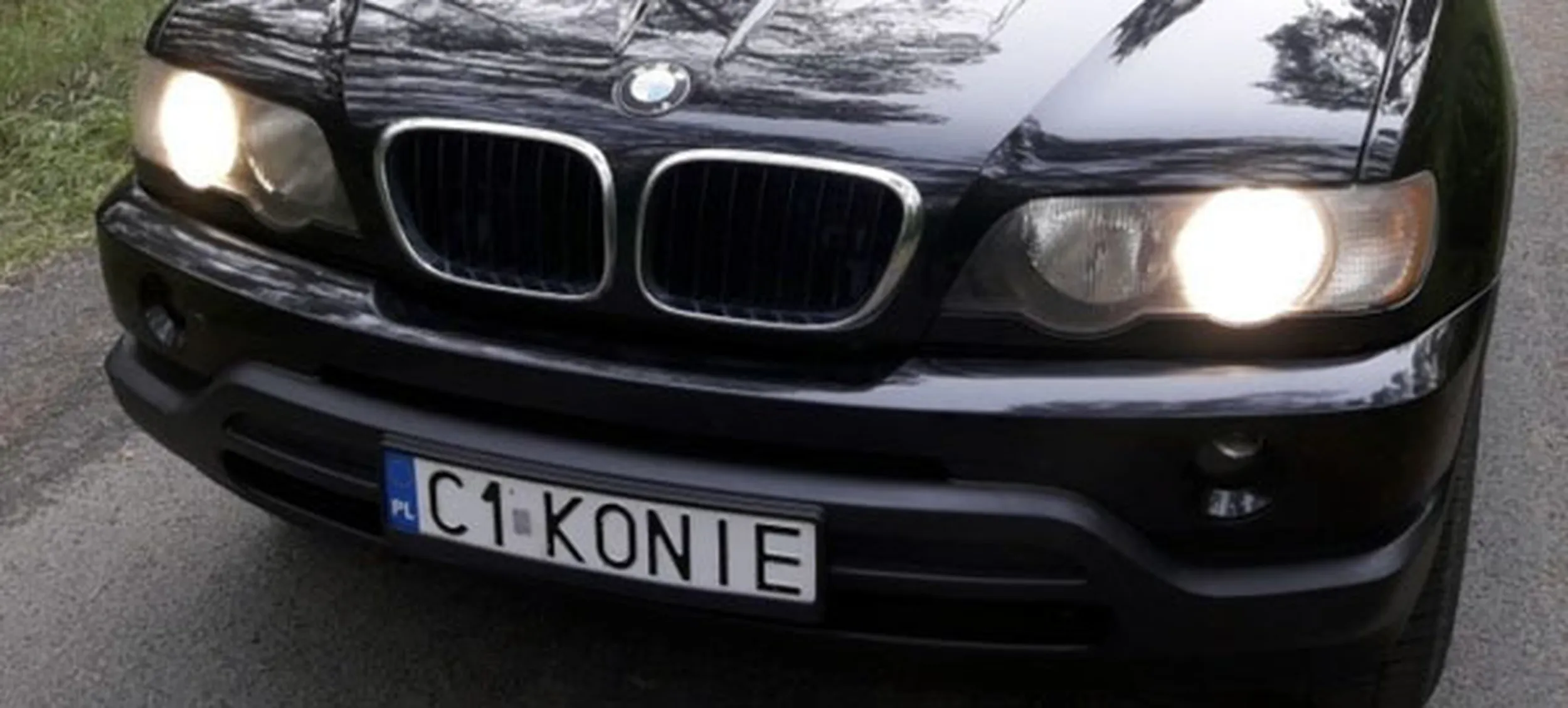 Fajny numer, blacha C1 KONIE