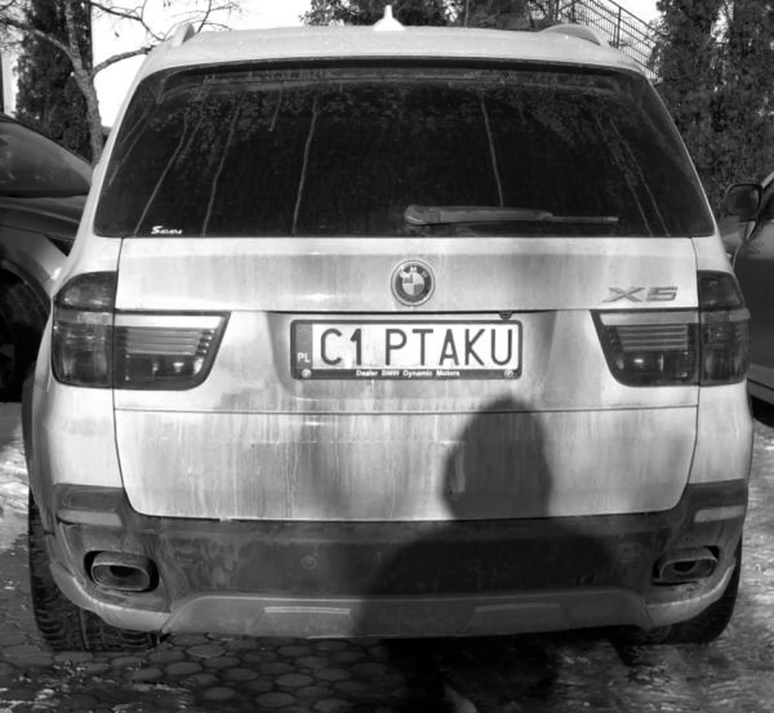 Fajny numer, blacha C1 PTAKU