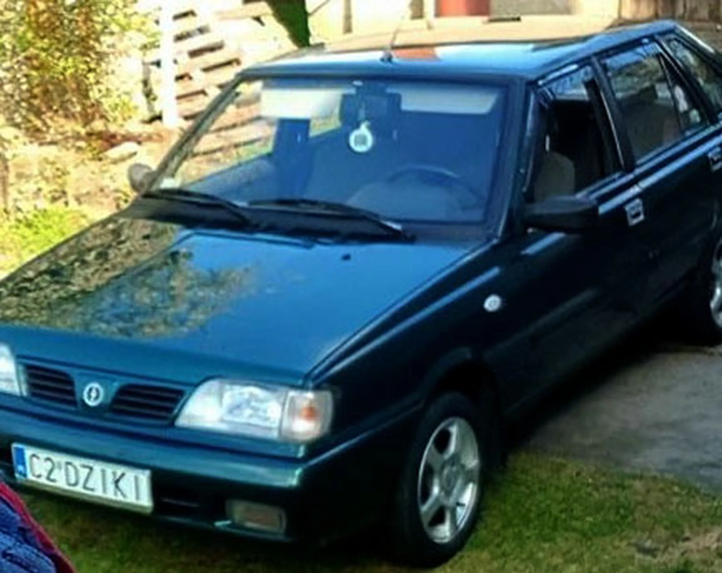 Fajny numer, blacha C2 DZIKI