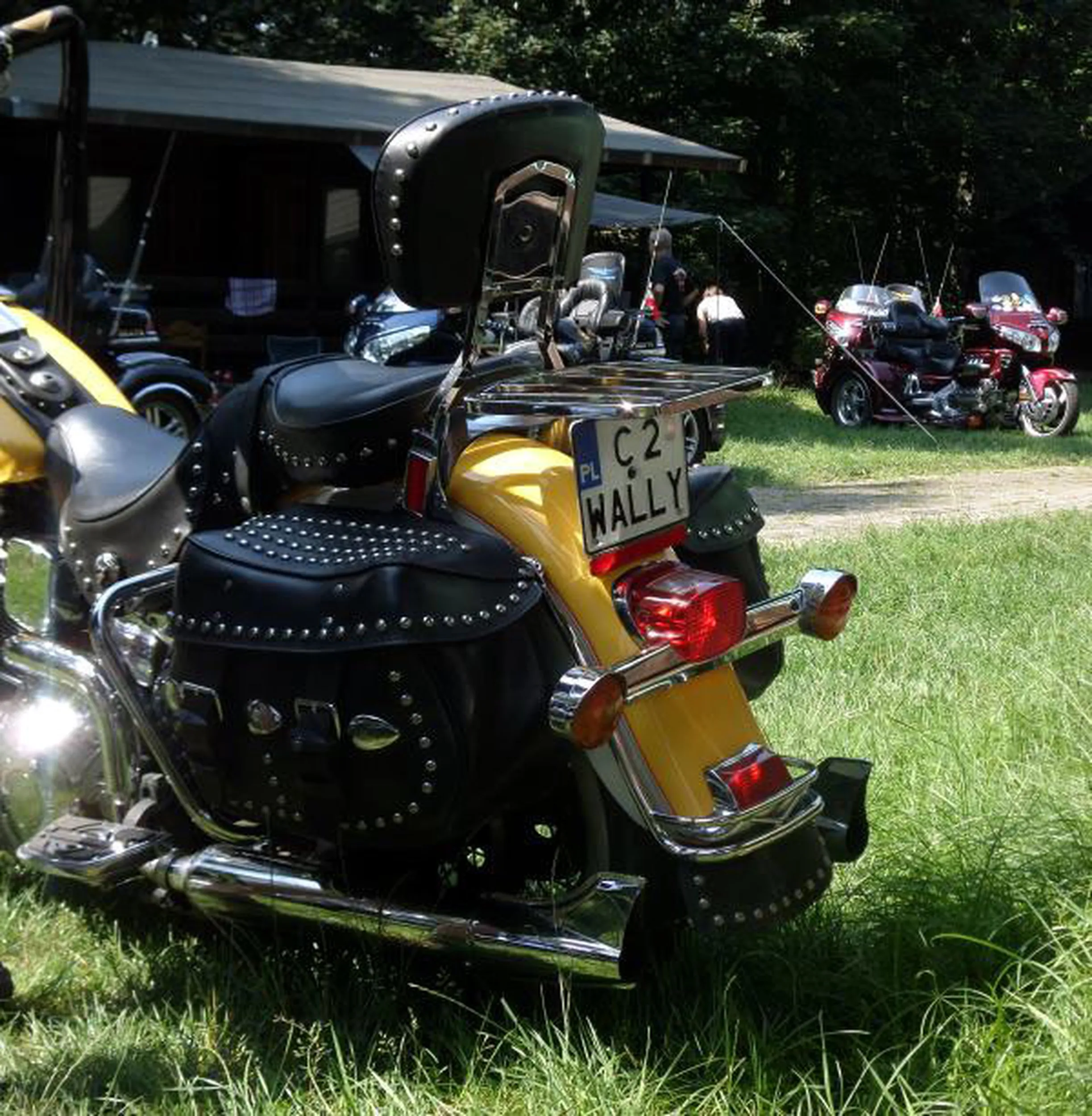 Fajny numer, blacha C2 WALLY