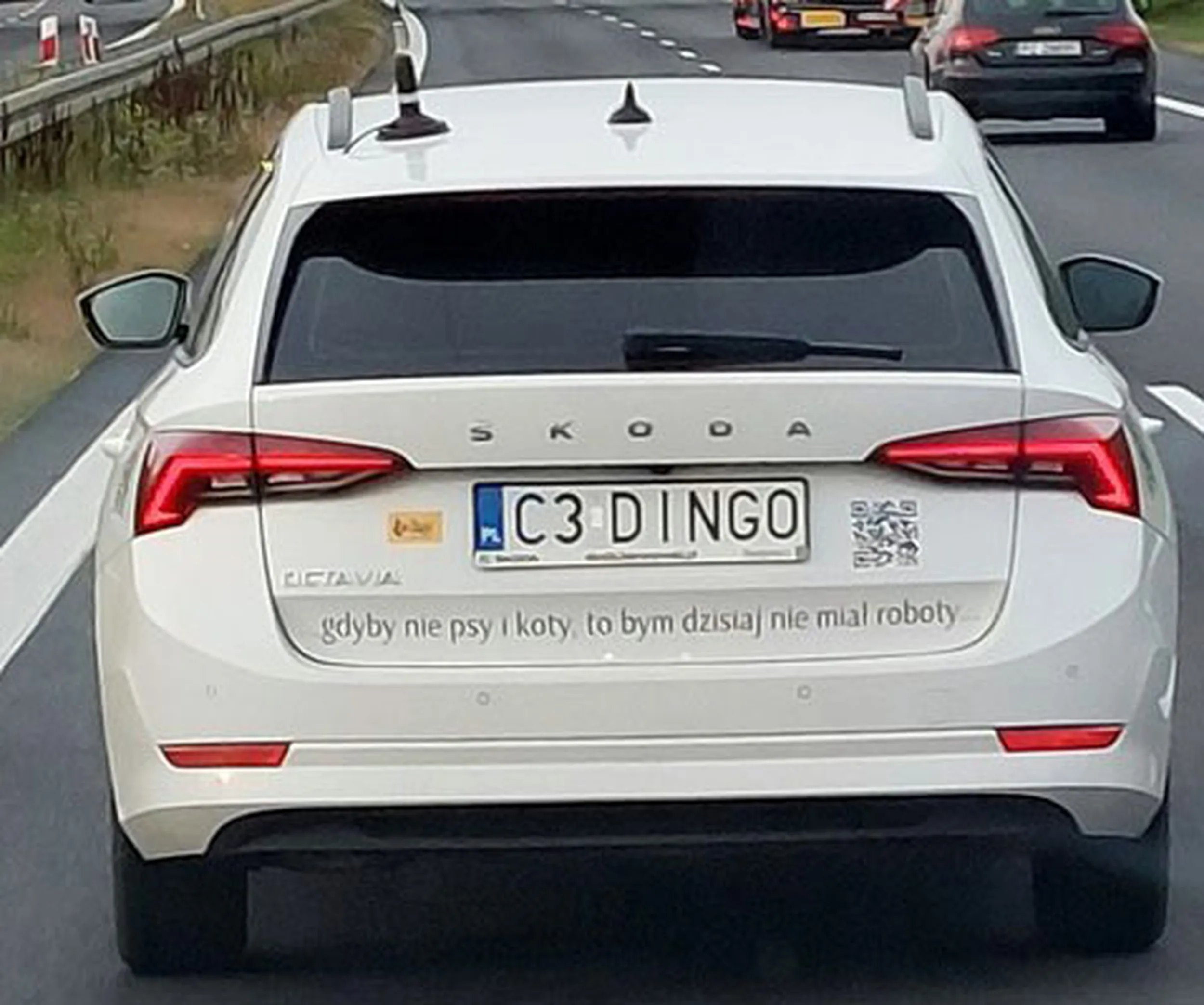 Fajny numer, blacha C3 DINGO