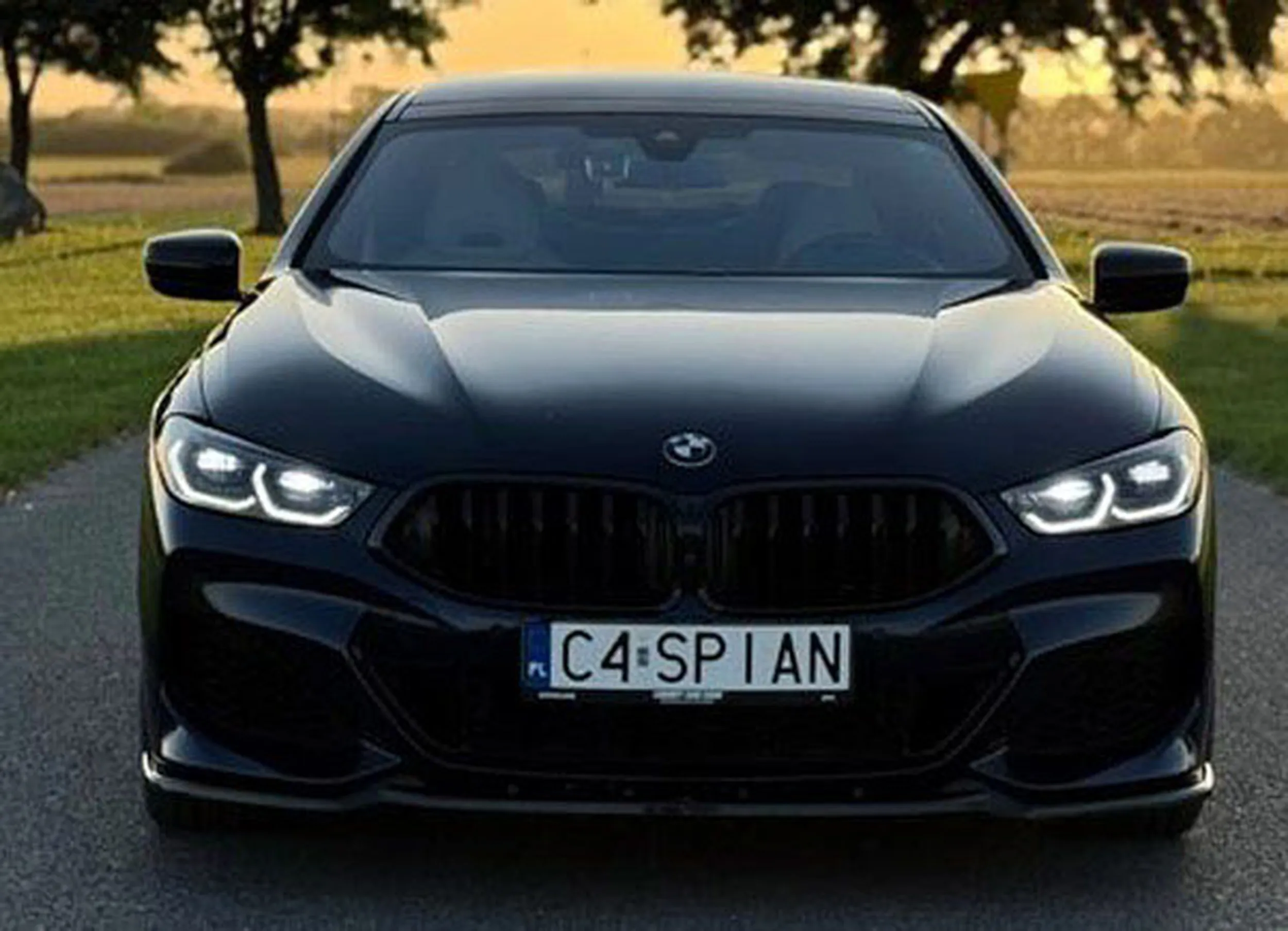 Fajny numer, blacha C4 SPIAN