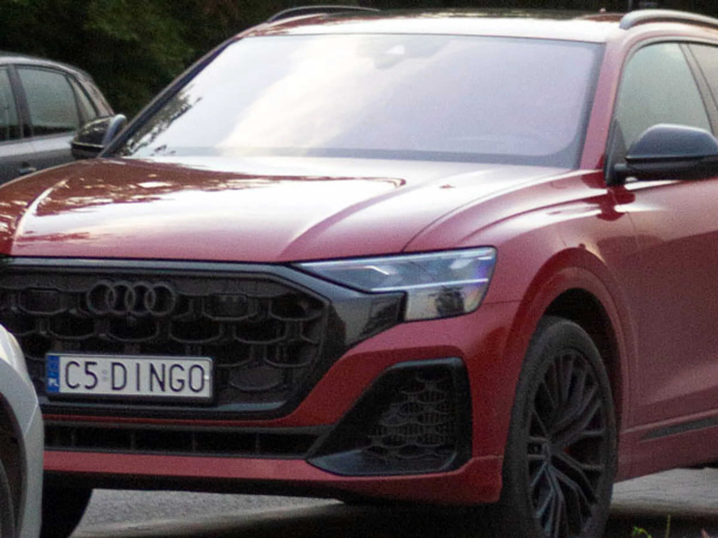 Fajny numer, blacha C5 DINGO