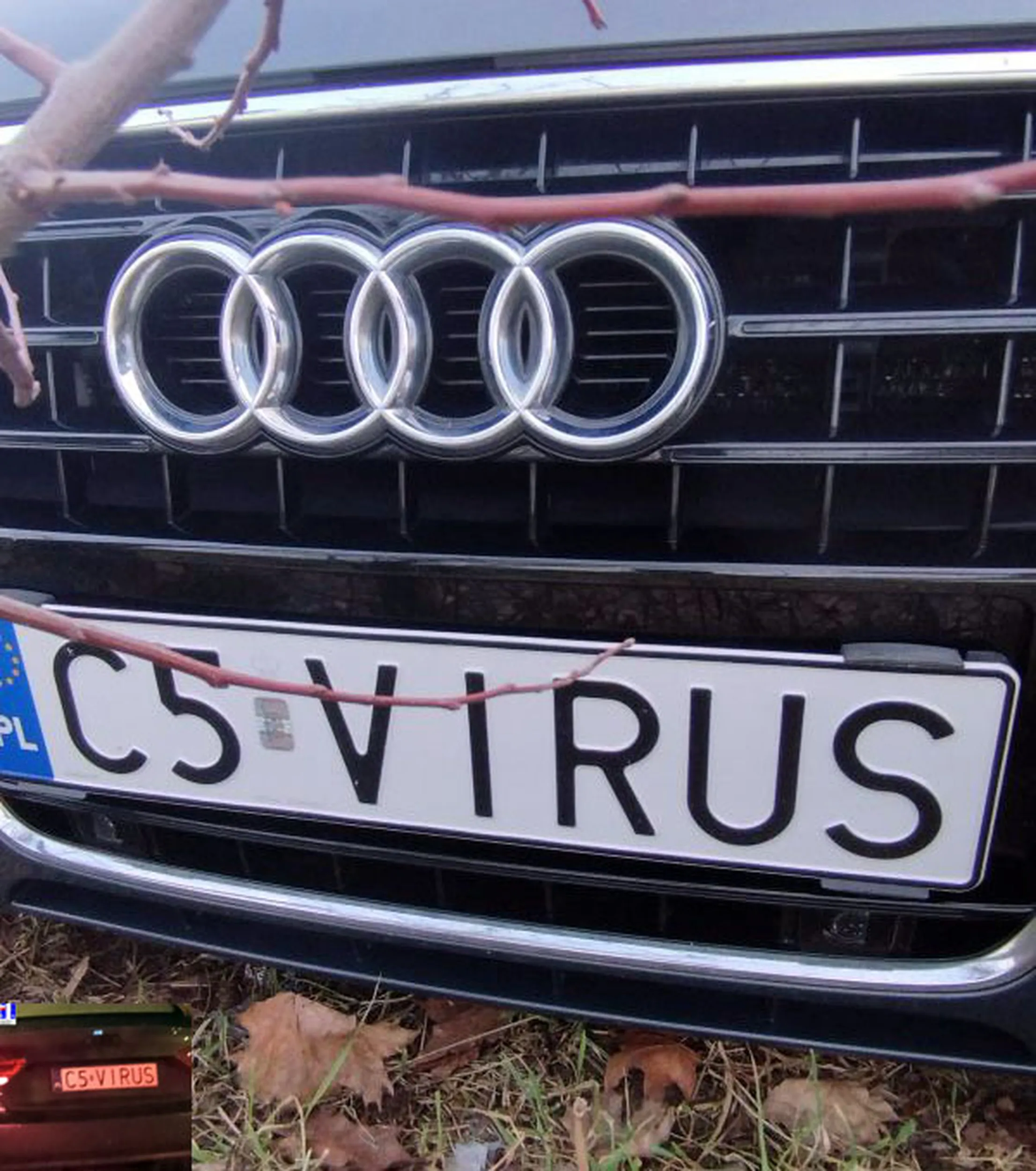 Fajny numer, blacha C5 VIRUS