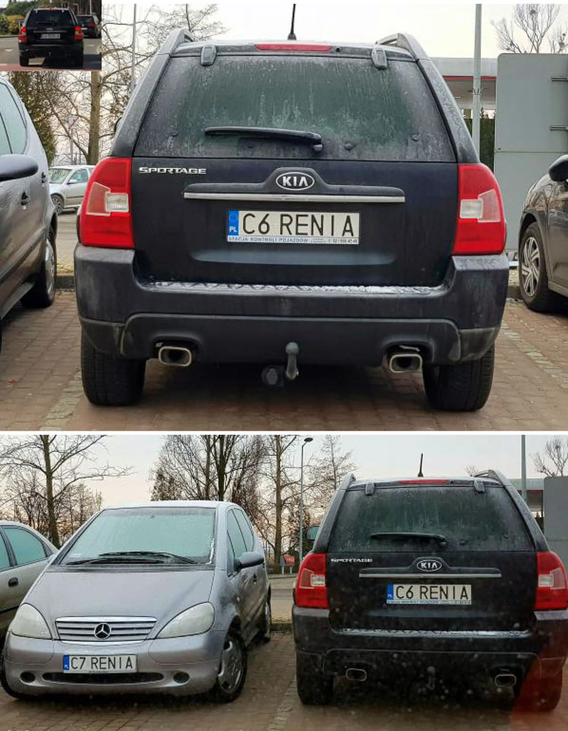 Fajny numer, blacha C6 RENIA