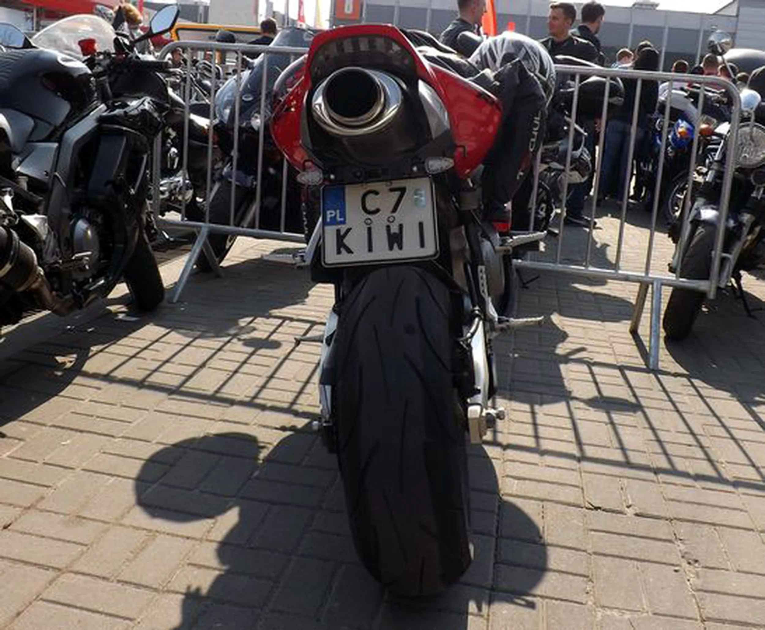 Fajny numer, blacha C7 KIWI