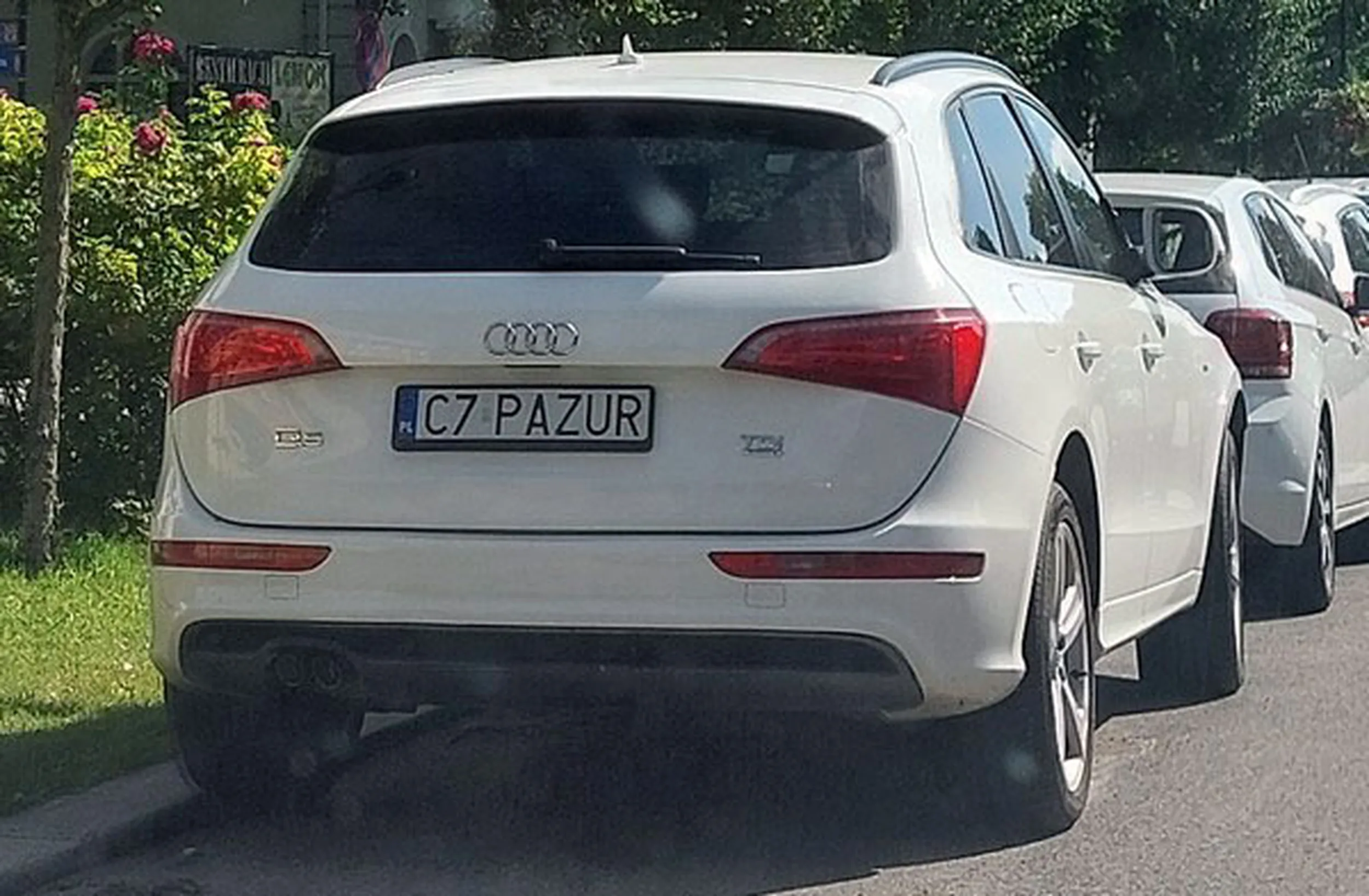 Fajny numer, blacha C7 PAZUR