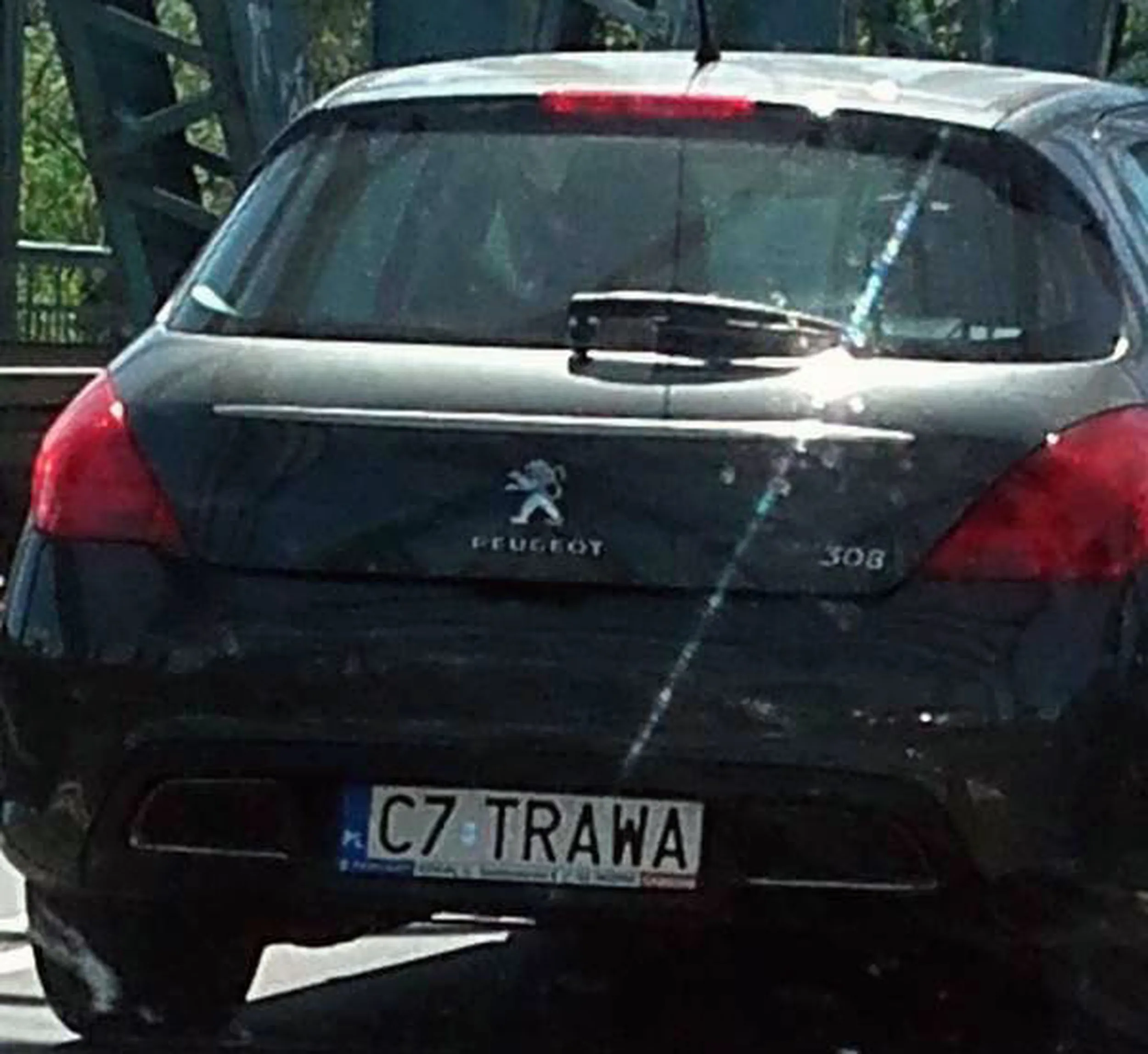 Fajny numer, blacha C7 TRAWA