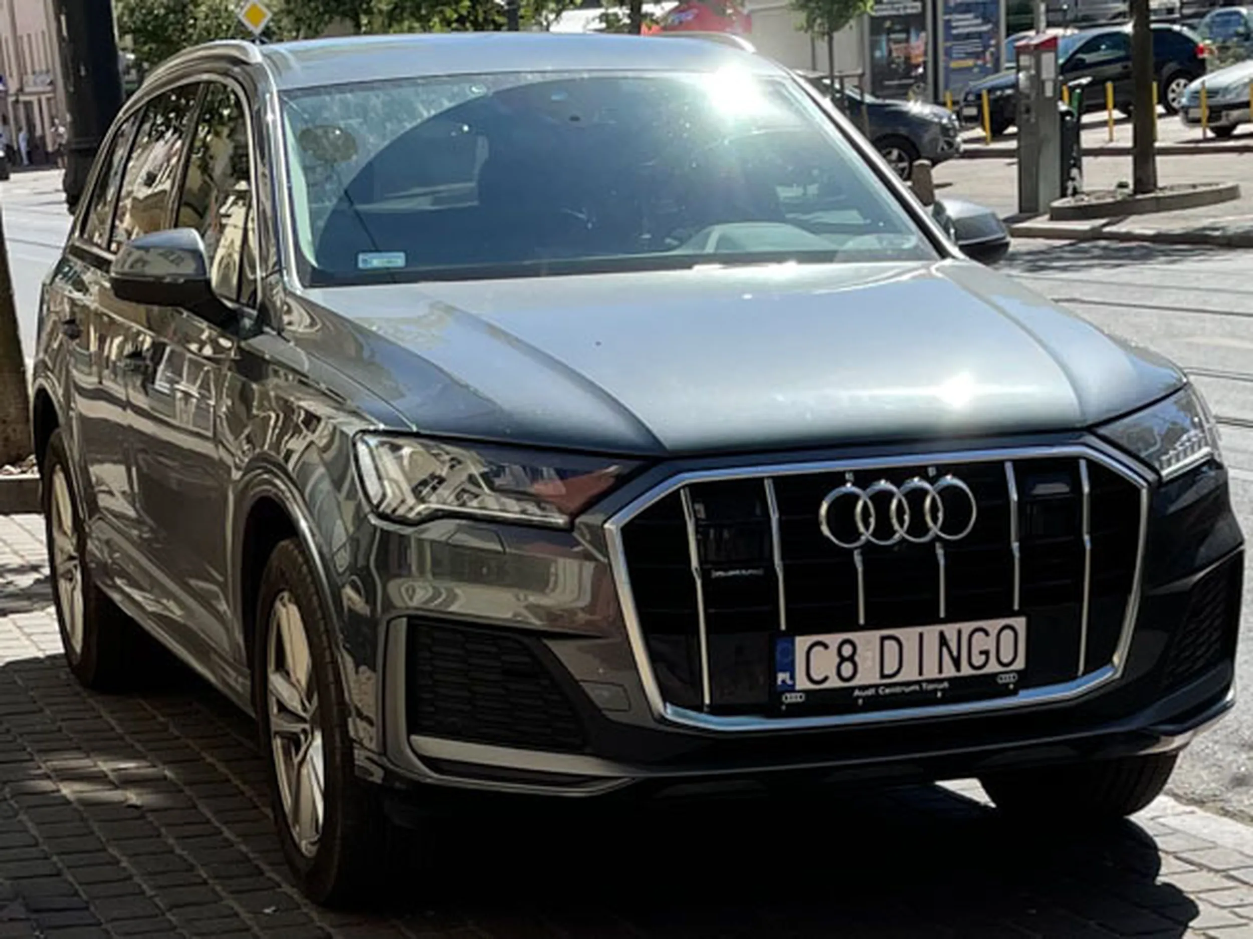 Fajny numer, blacha C8 DINGO