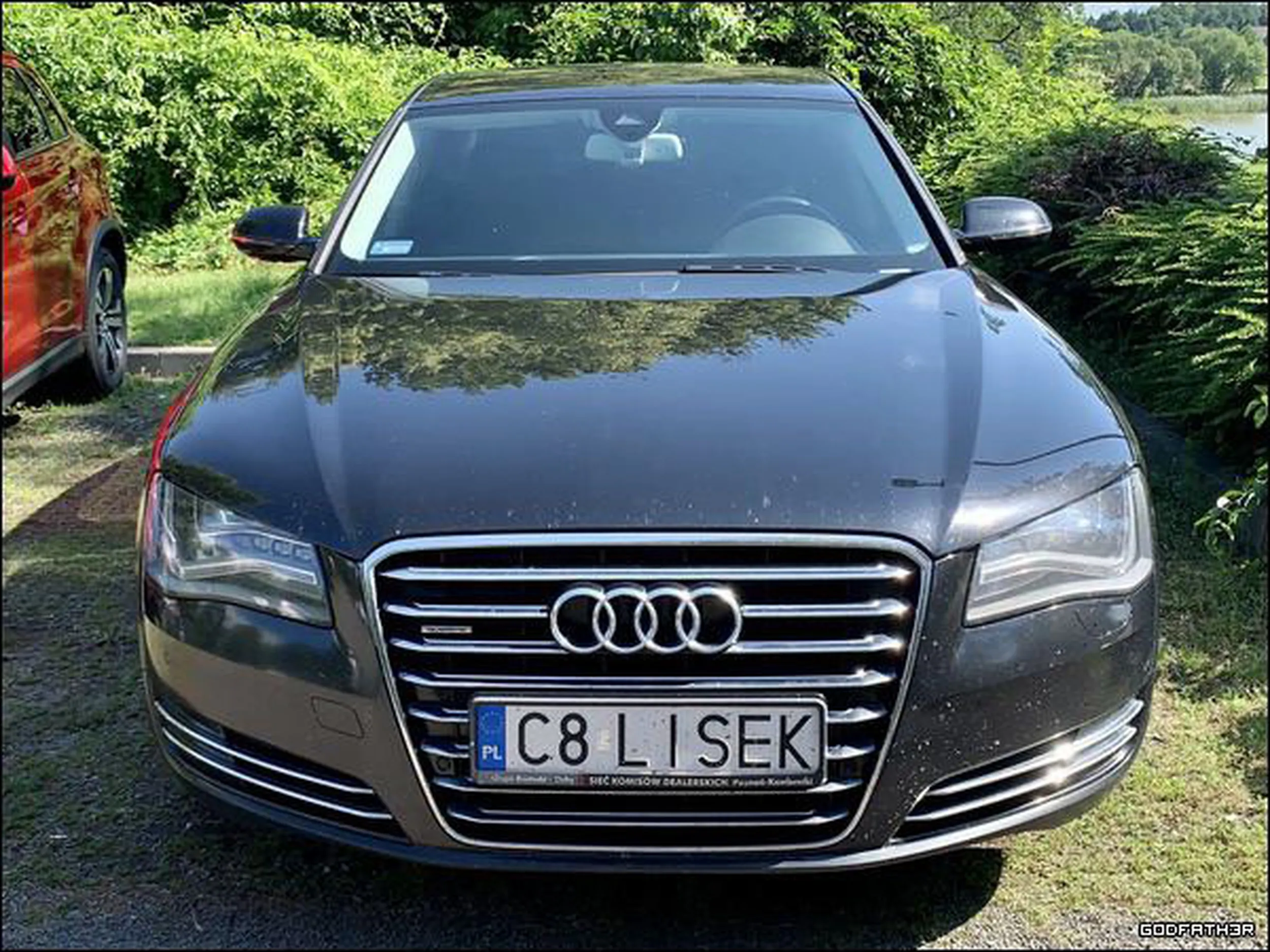 Fajny numer, blacha C8 LISEK