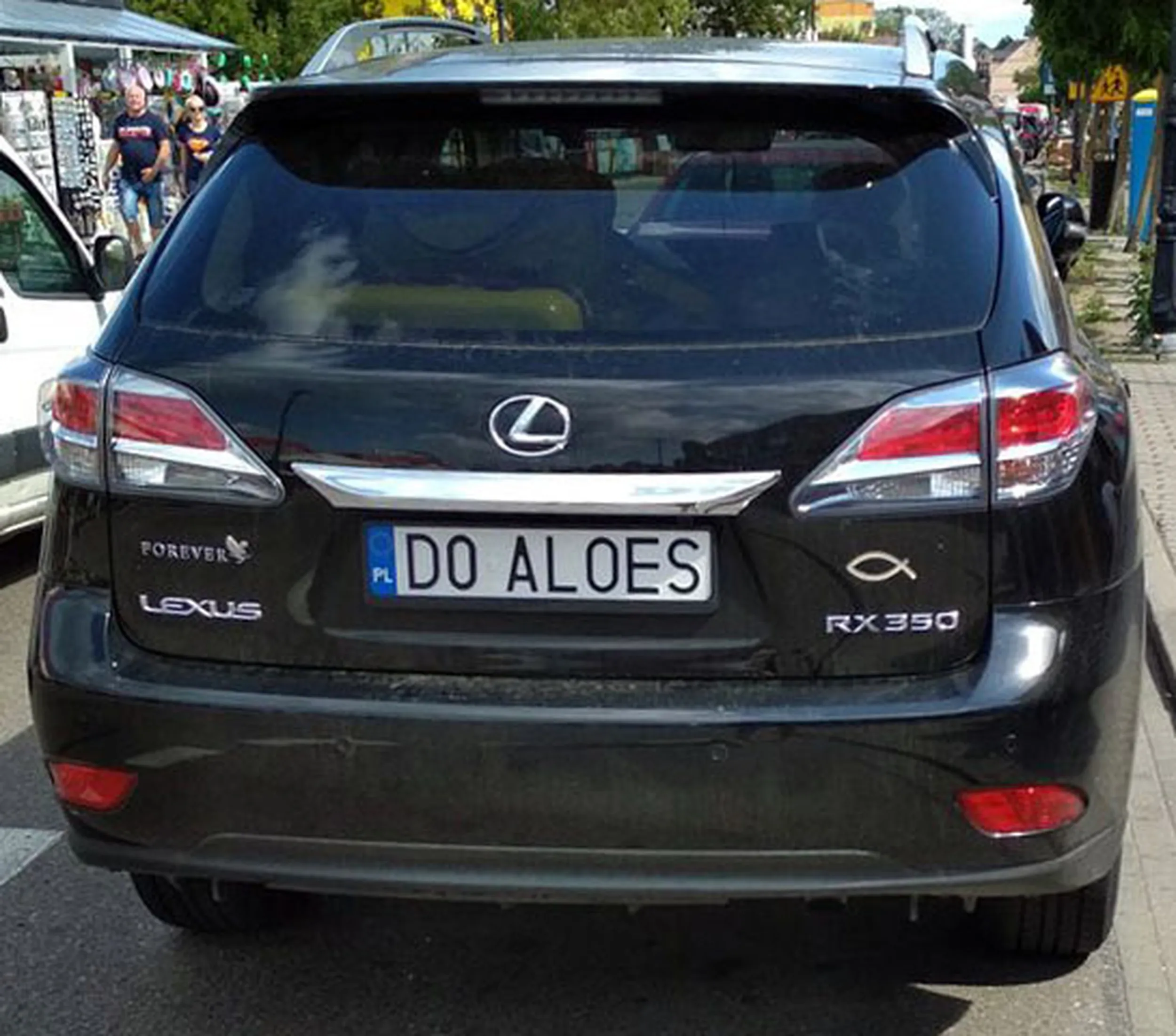 Fajny numer, blacha D0 ALOES