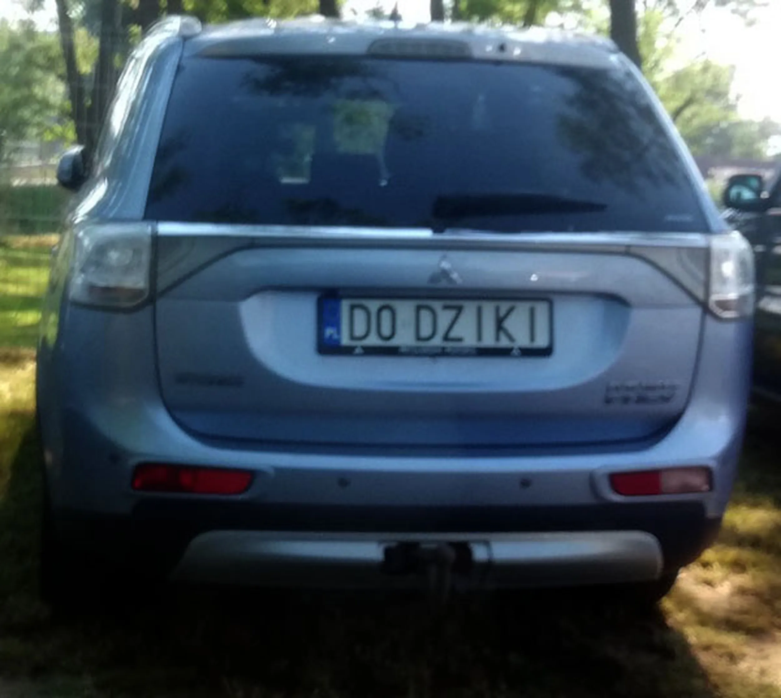 Fajny numer, blacha D0 DZIKI